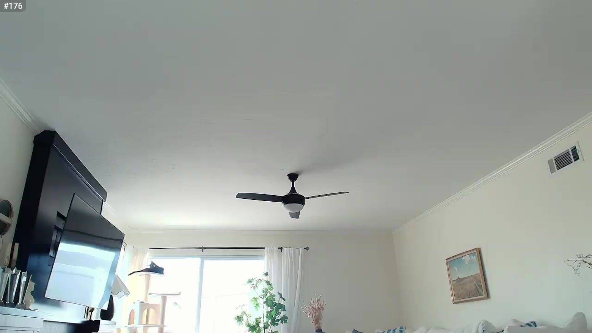 Gallery image thumbnail from Mermaidmiley's myfreecams stream on, 07/01/2026, 24:04 image 1 of 20