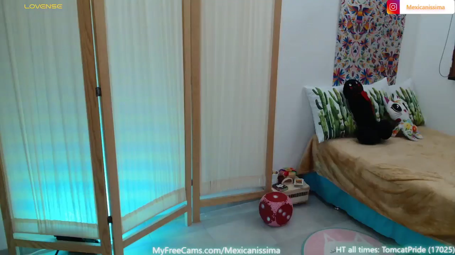 Gallery image thumbnail from Mexicanissima's myfreecams stream on, 05/01/2025, 01:02 image 16 of 20