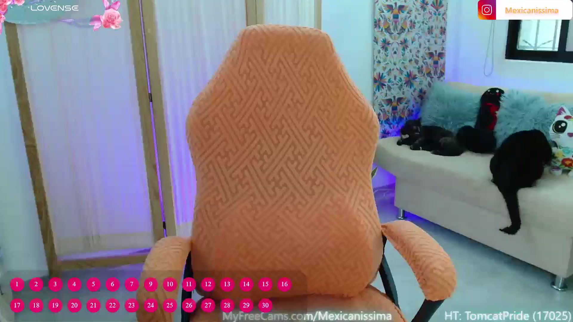 Gallery image thumbnail from Mexicanissima's myfreecams stream on, 11/13/2025, 18:53 image 9 of 20