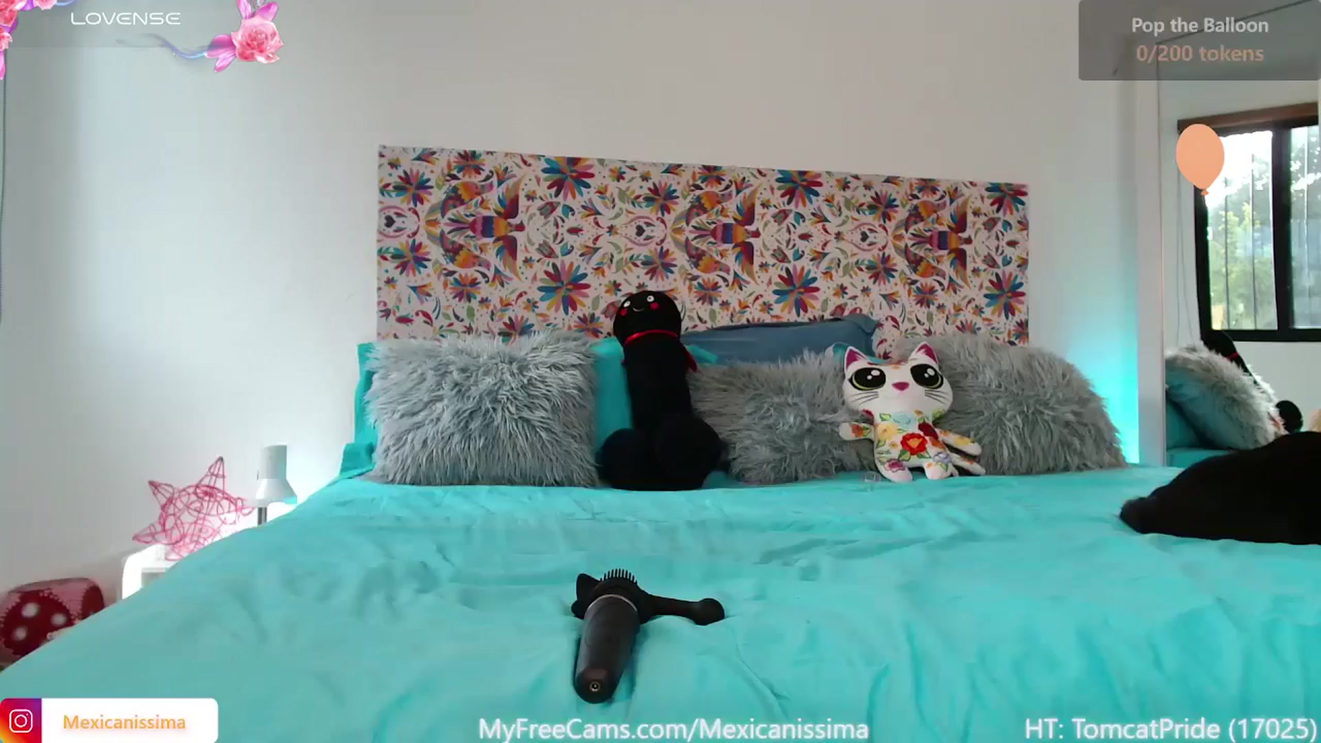 Gallery image thumbnail from Mexicanissima's myfreecams stream on, 12/19/2025, 18:55 image 12 of 20