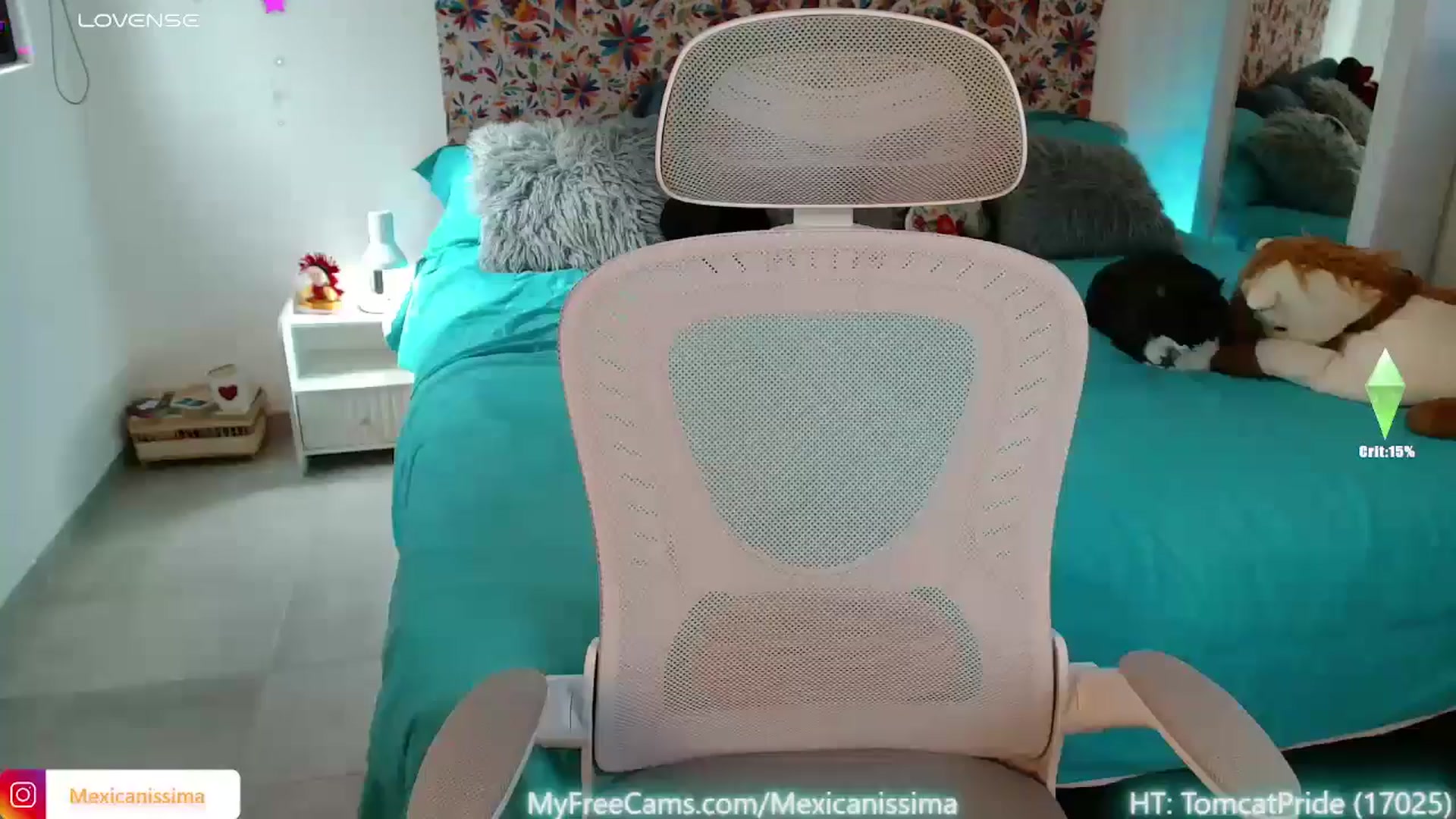 Gallery image thumbnail from Mexicanissima's myfreecams stream on, 01/13/2026, 18:00 image 18 of 20