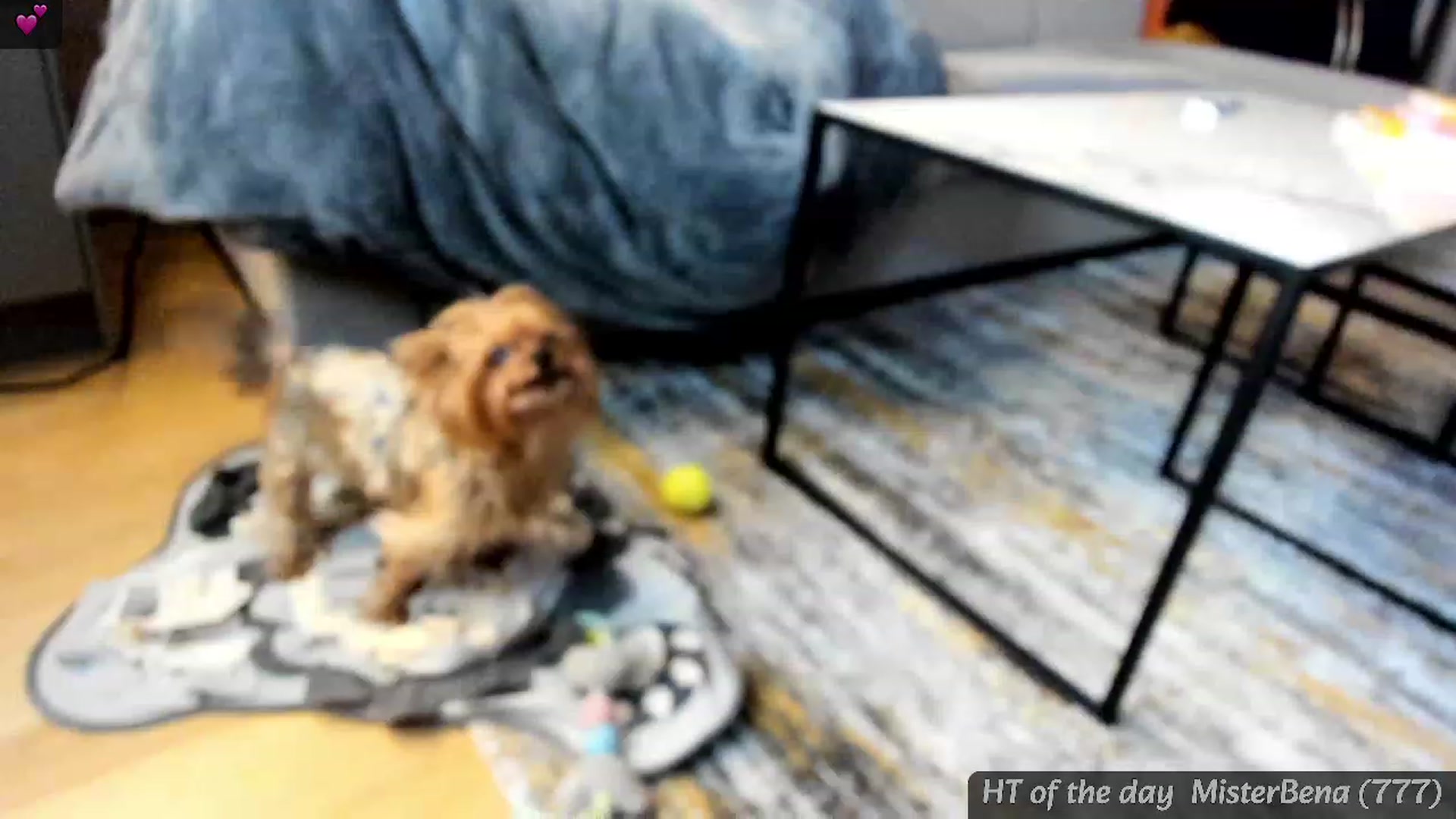 Gallery image thumbnail from Mi_Ha's myfreecams stream on, 02/22/2024, 17:12 image 17 of 20