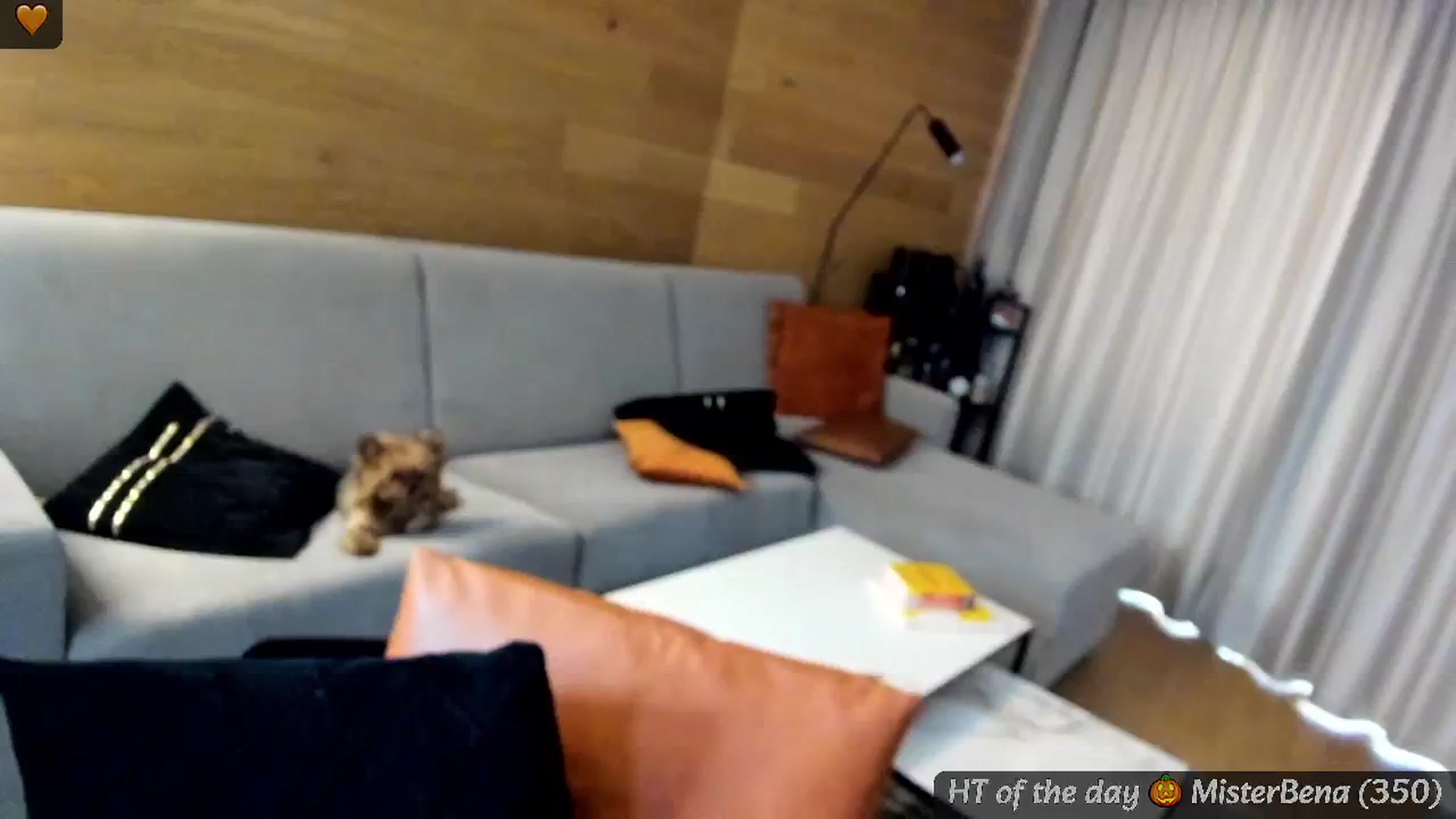 Gallery image thumbnail from Mi_Ha's myfreecams stream on, 09/20/2024, 15:43 image 14 of 20