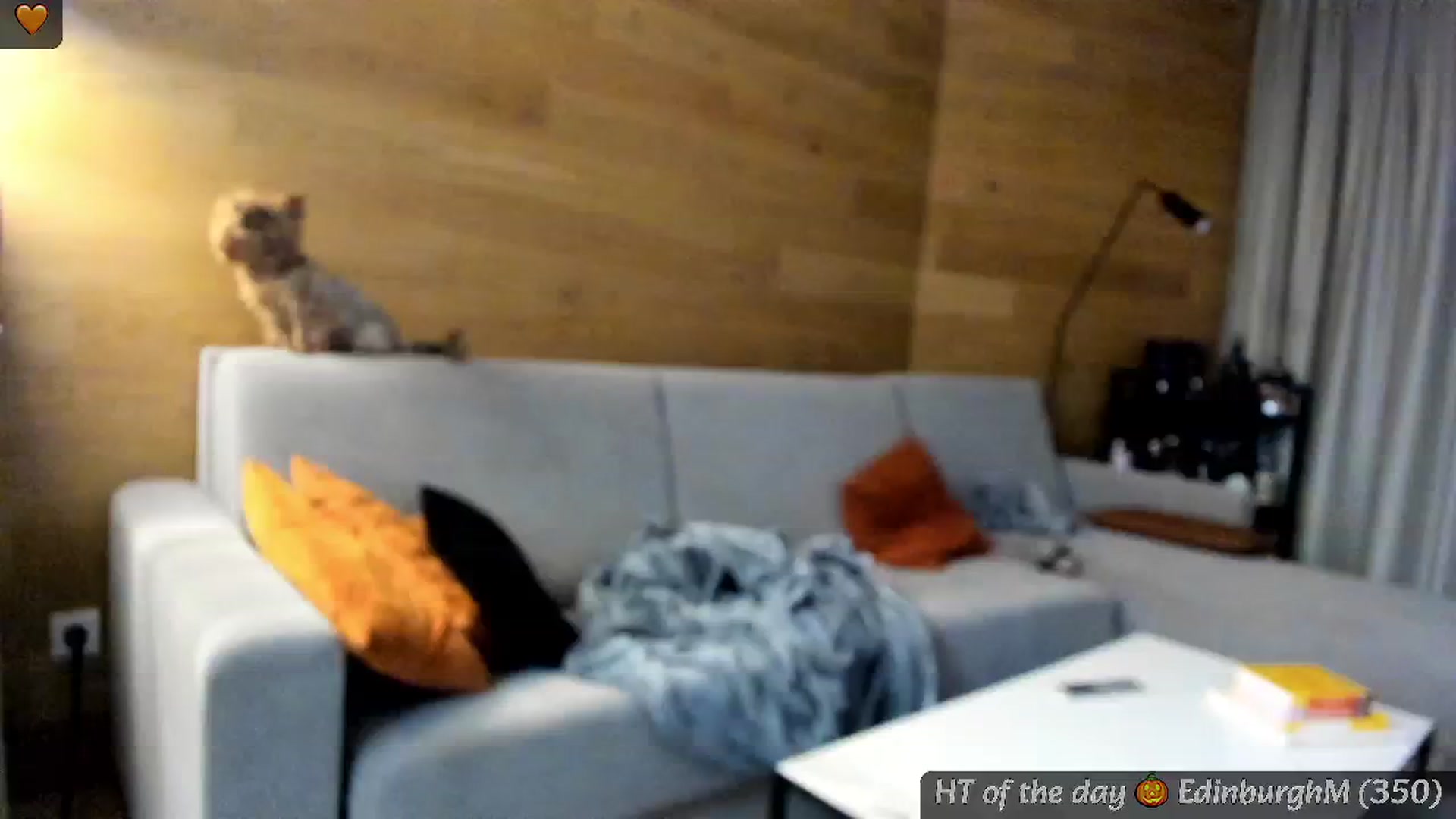 Gallery image thumbnail from Mi_Ha's myfreecams stream on, 10/05/2024, 15:53 image 5 of 20
