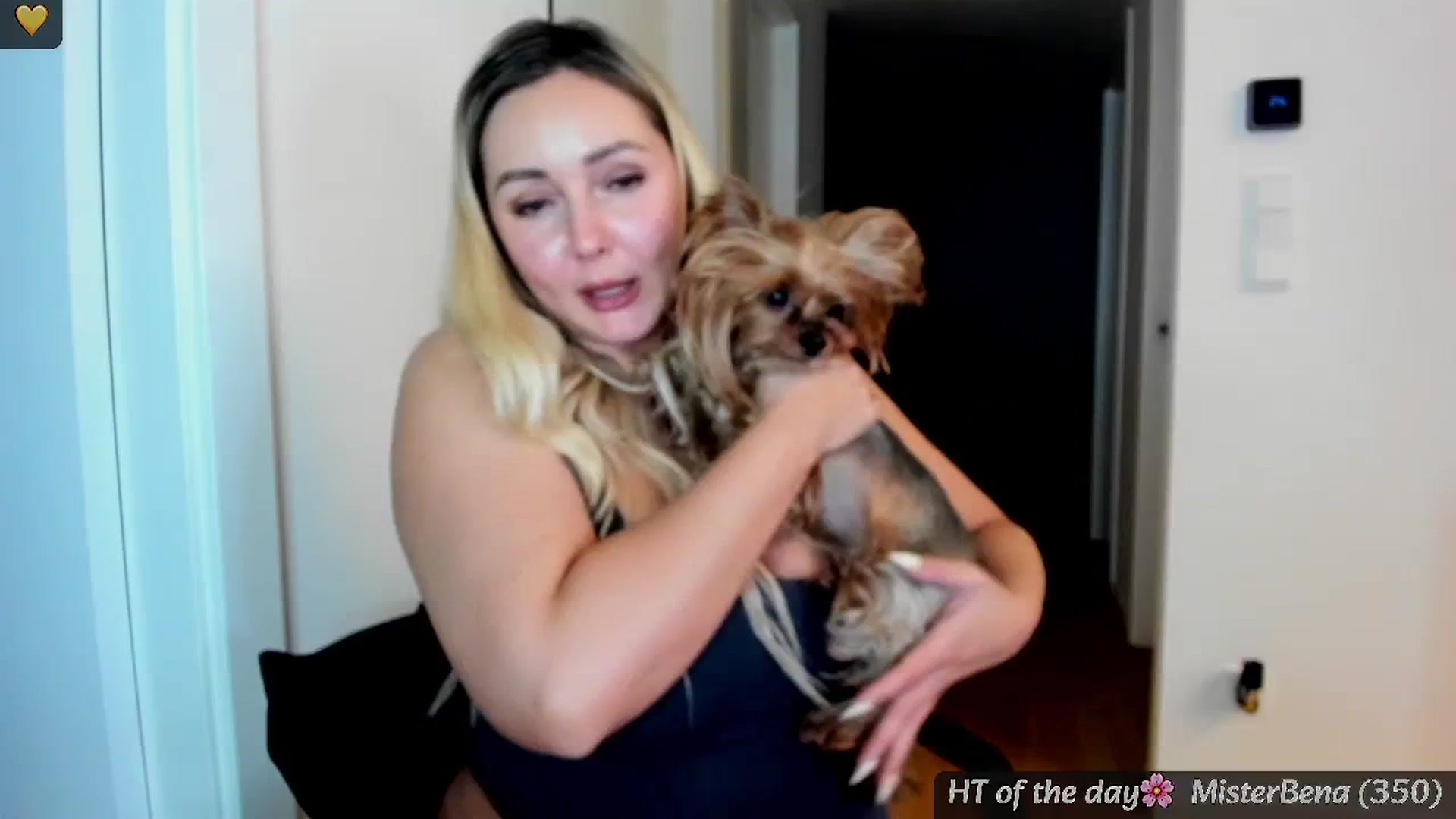 Gallery image thumbnail from Mi_Ha's myfreecams stream on, 05/21/2025, 23:14 image 14 of 20