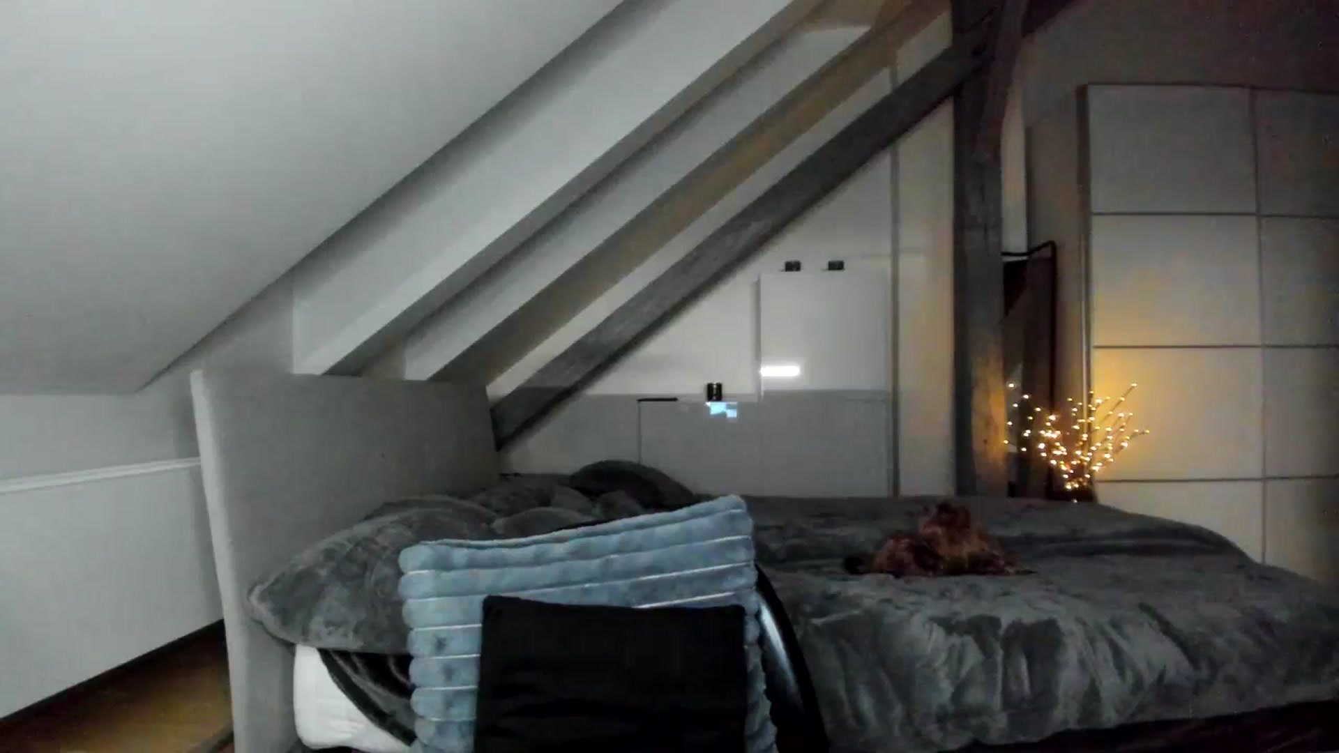 Gallery image thumbnail from Mi_Ha's myfreecams stream on, 12/16/2025, 17:52 image 17 of 20