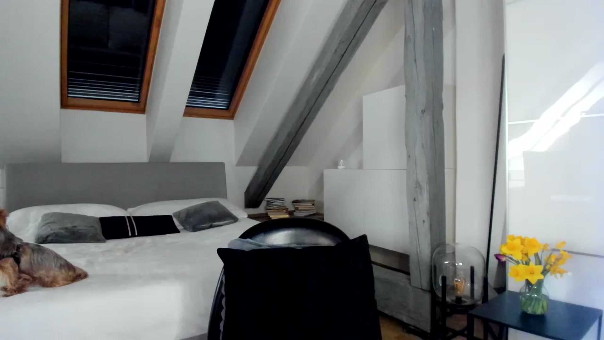Gallery image thumbnail from Mi_Ha's myfreecams stream on, 03/21/2026, 16:46 image 9 of 20