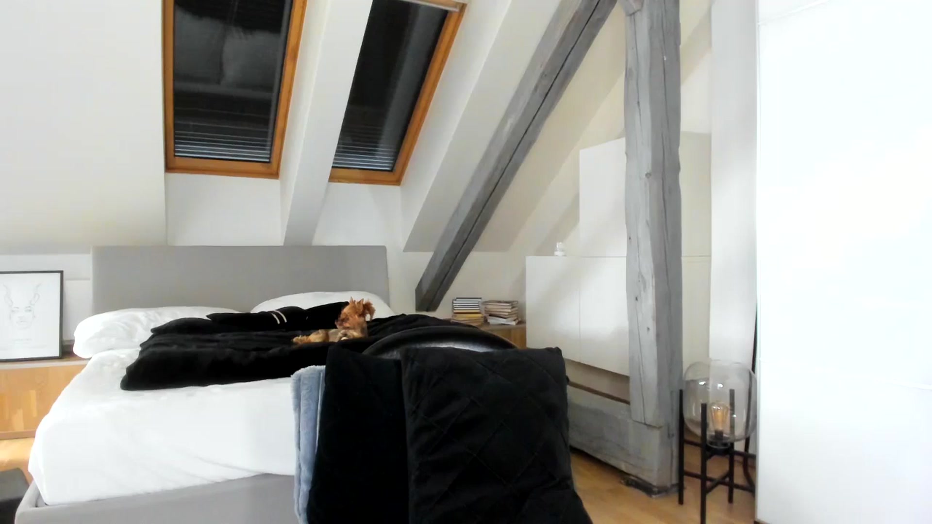 Gallery image thumbnail from Mi_Ha's myfreecams stream on, 04/27/2026, 12:43 image 8 of 20