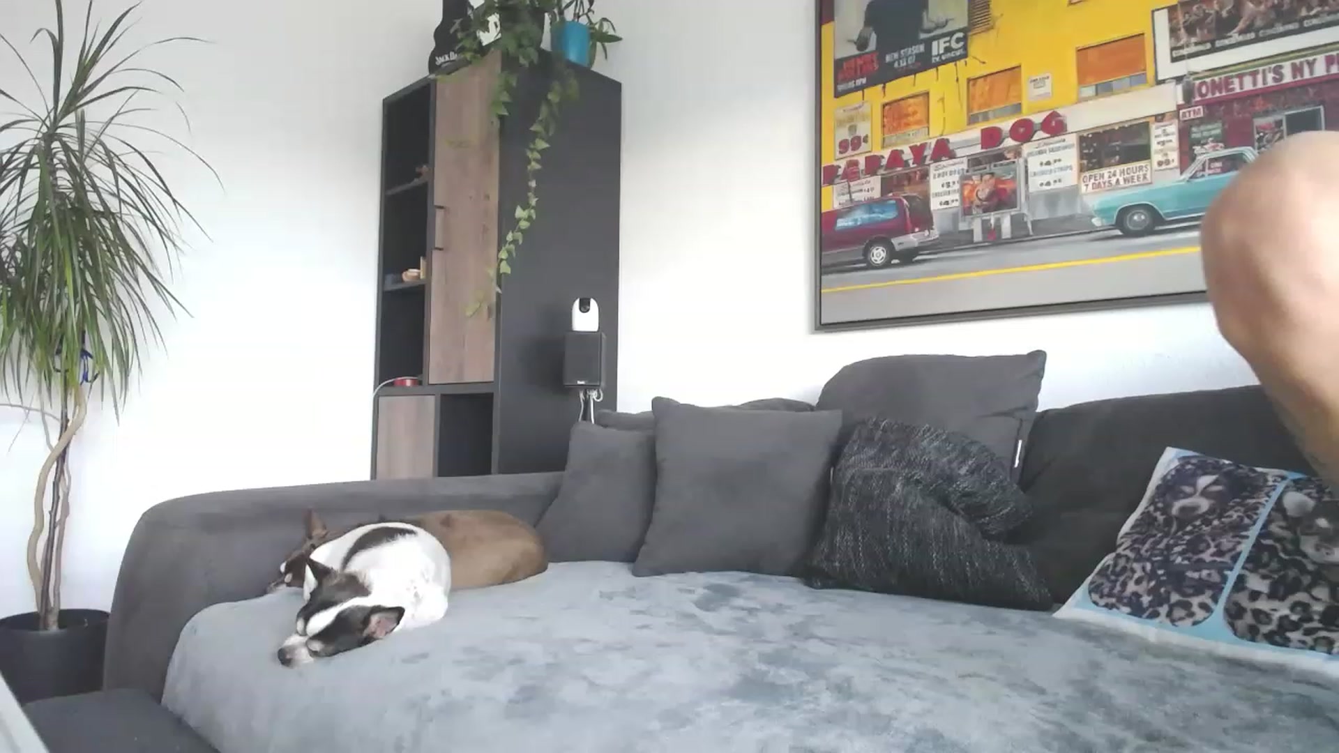 Gallery image thumbnail from MiaMaxxx's myfreecams stream on, 11/16/2022, 12:30 image 4 of 20