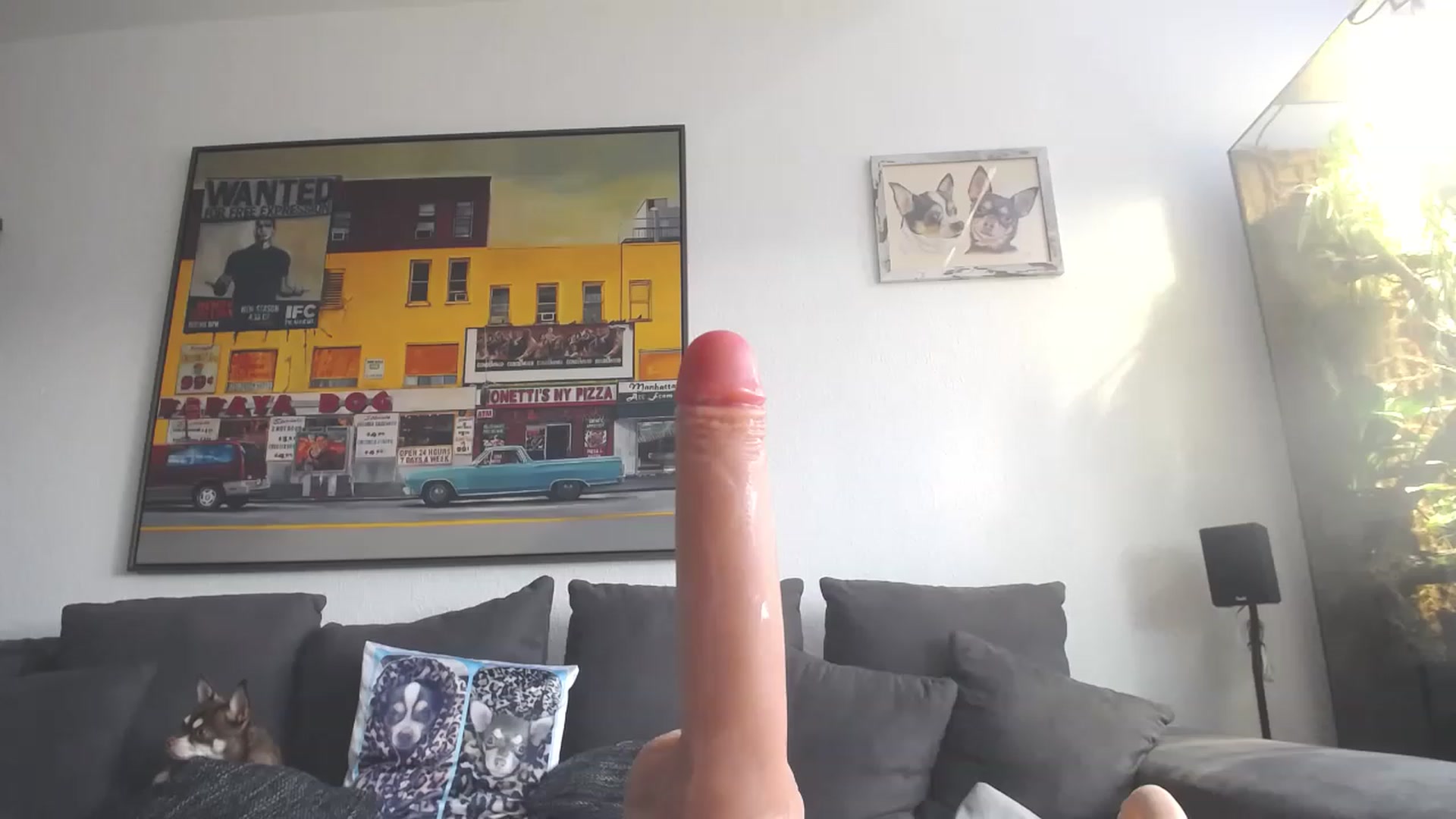 Gallery image thumbnail from MiaMaxxx's myfreecams stream on, 02/24/2023, 11:03 image 17 of 20