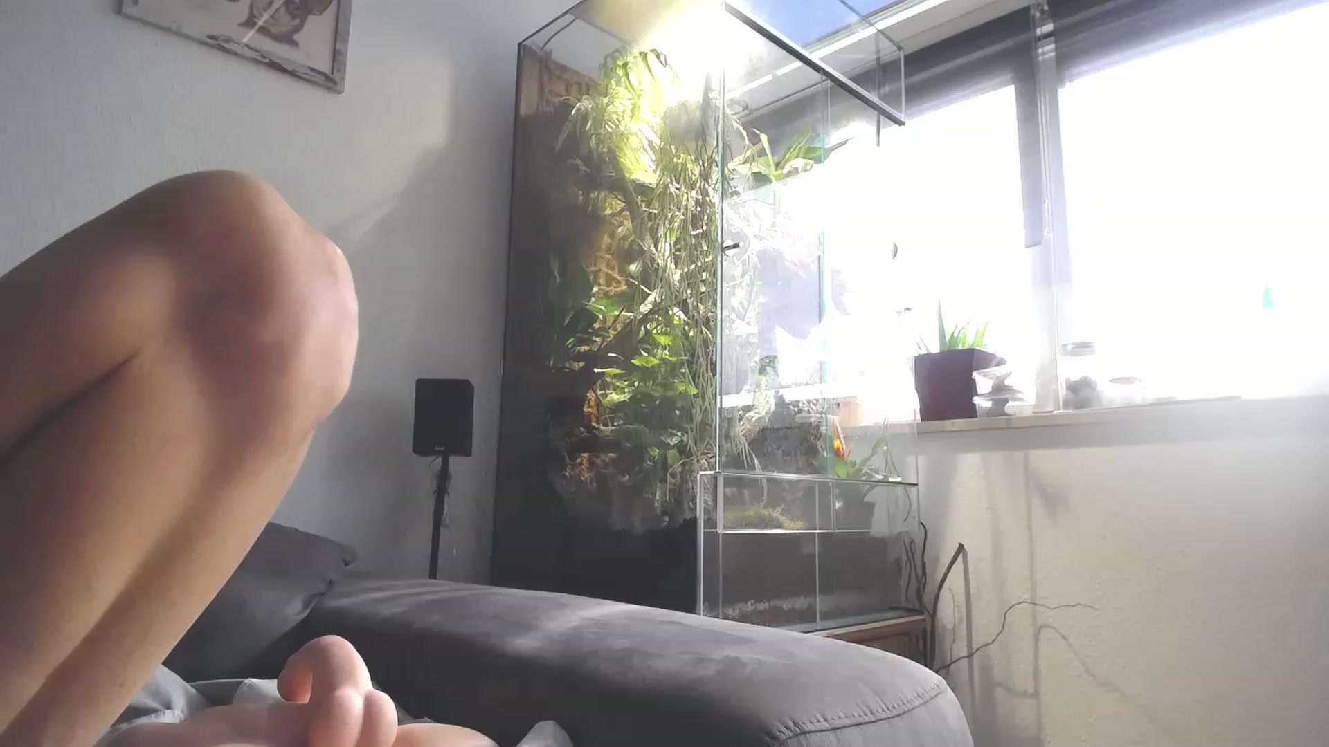 Gallery image thumbnail from MiaMaxxx's myfreecams stream on, 02/24/2023, 11:03 image 6 of 20