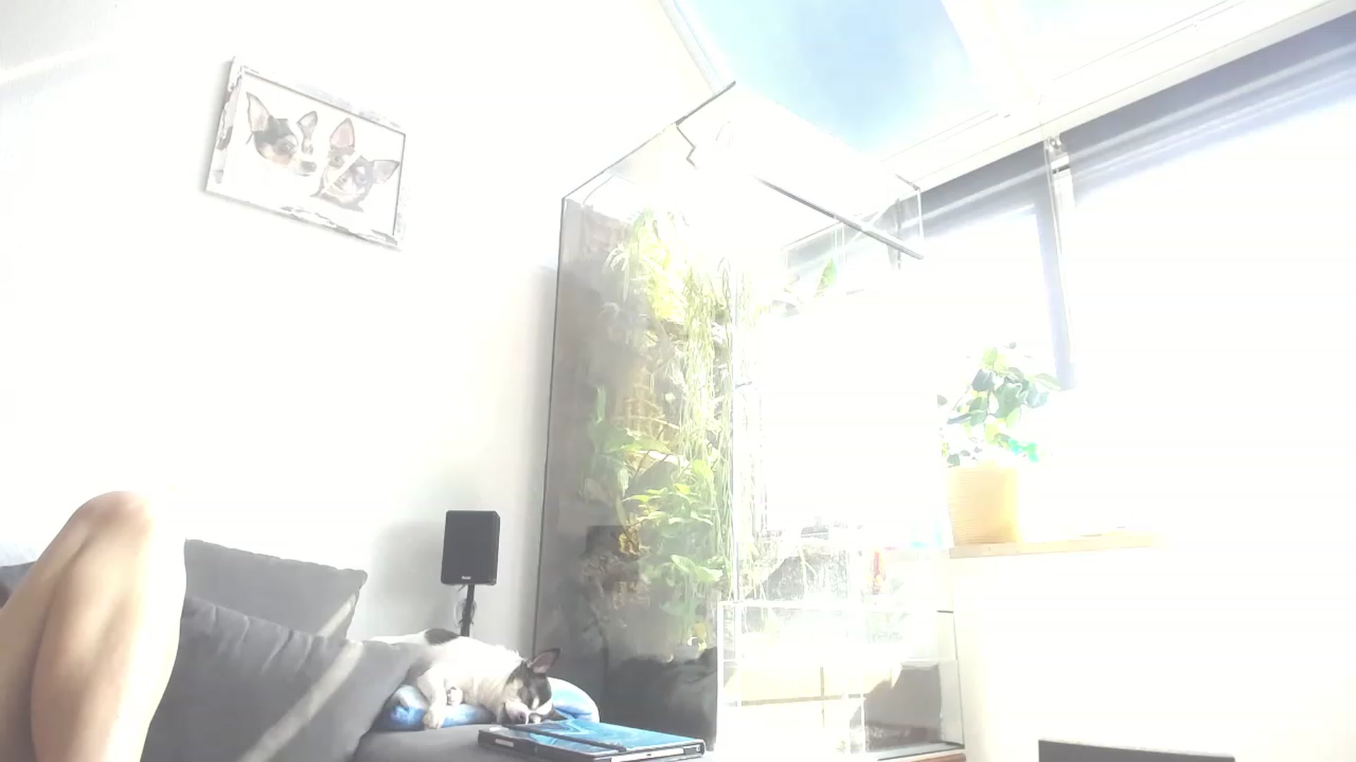 Gallery image thumbnail from MiaMaxxx's myfreecams stream on, 03/21/2023, 12:14 image 2 of 20