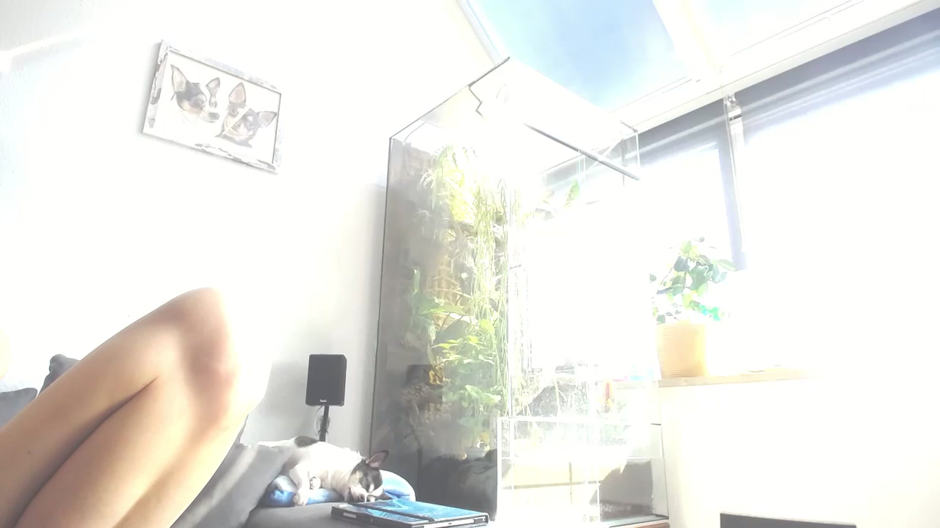 Gallery image thumbnail from MiaMaxxx's myfreecams stream on, 03/21/2023, 12:14 image 3 of 20