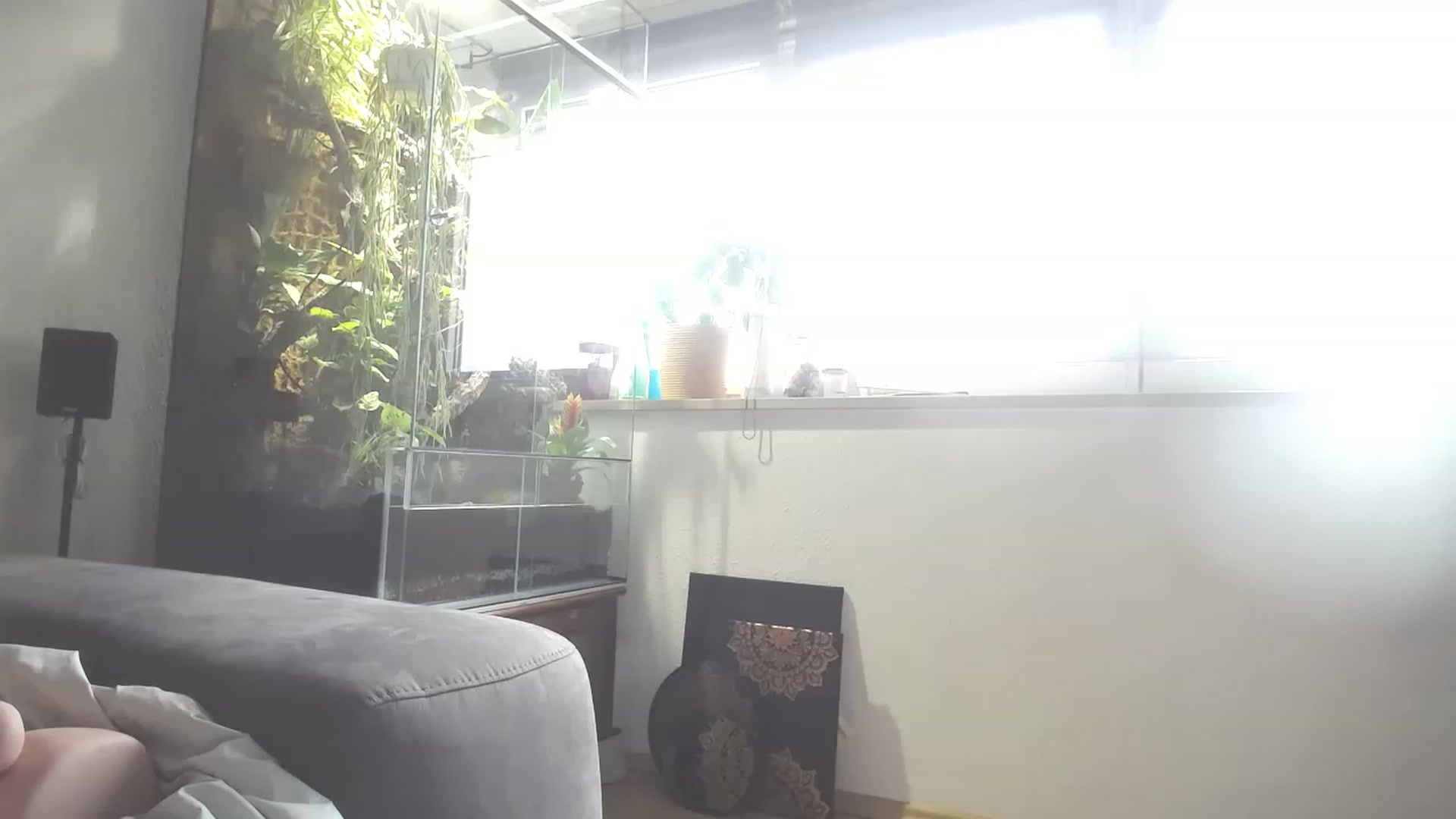 Gallery image thumbnail from MiaMaxxx's myfreecams stream on, 03/27/2023, 11:01 image 9 of 20