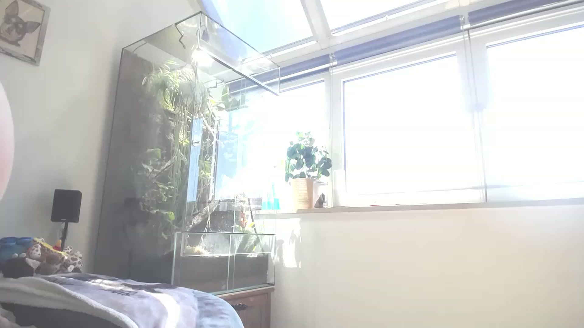 Gallery image thumbnail from MiaMaxxx's myfreecams stream on, 05/03/2023, 10:08 image 7 of 20