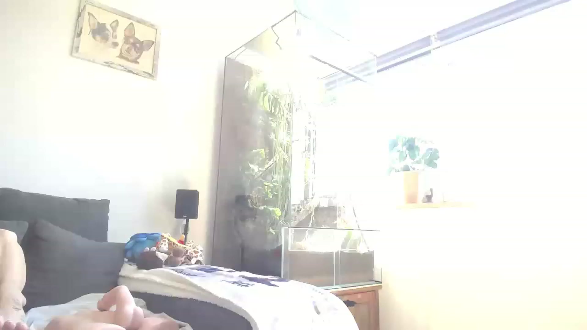 Gallery image thumbnail from MiaMaxxx's myfreecams stream on, 05/03/2023, 10:08 image 15 of 20