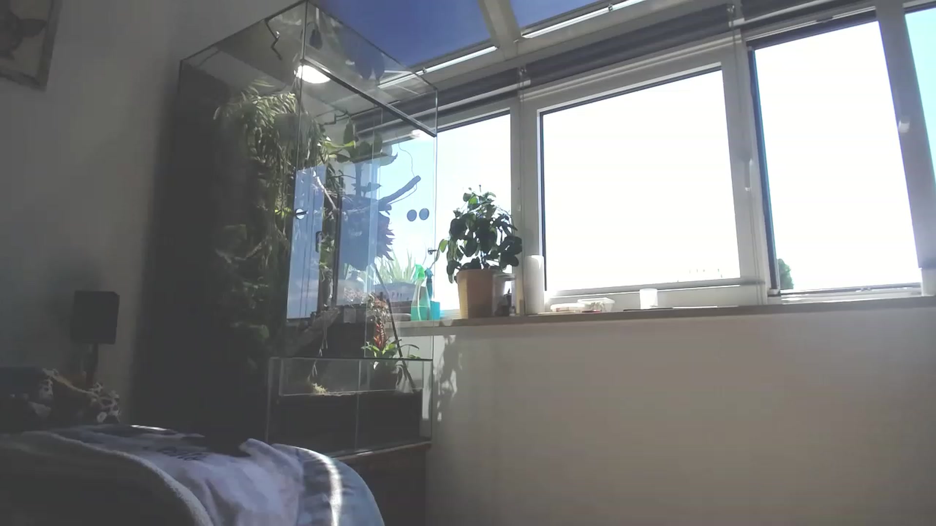 Gallery image thumbnail from MiaMaxxx's myfreecams stream on, 05/03/2023, 10:08 image 18 of 20