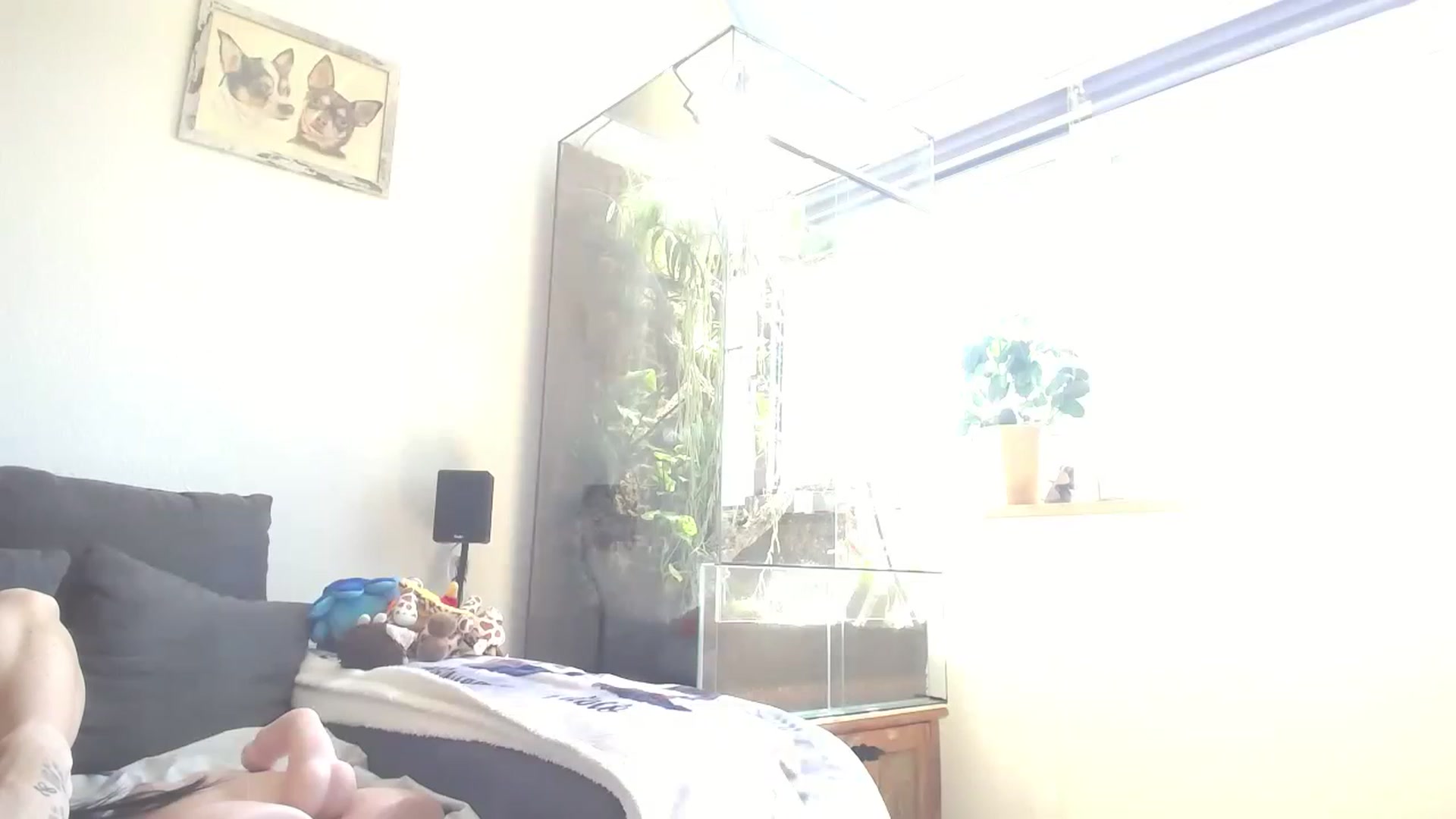 Gallery image thumbnail from MiaMaxxx's myfreecams stream on, 05/03/2023, 10:08 image 14 of 20