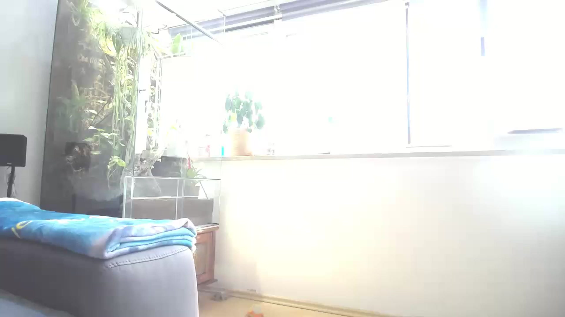 Gallery image thumbnail from MiaMaxxx's myfreecams stream on, 05/22/2023, 11:36 image 13 of 20
