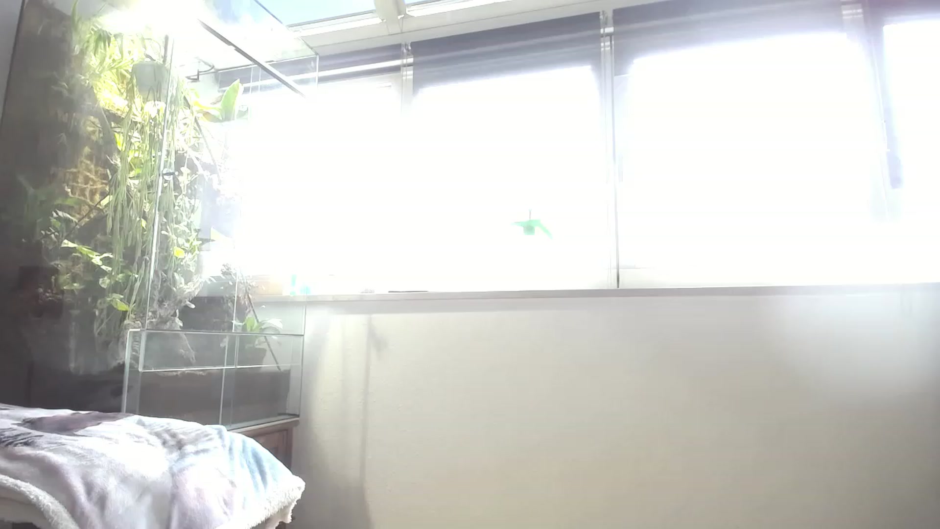 Gallery image thumbnail from MiaMaxxx's myfreecams stream on, 06/02/2023, 09:30 image 19 of 20