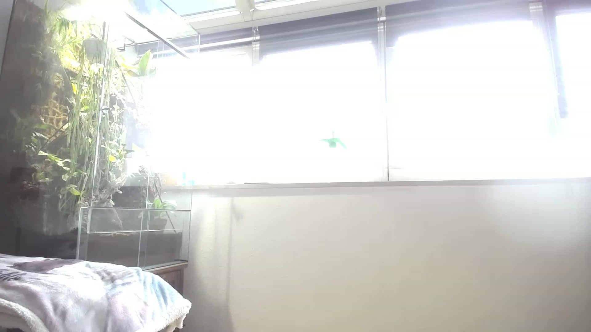 Gallery image thumbnail from MiaMaxxx's myfreecams stream on, 06/02/2023, 09:30 image 17 of 20
