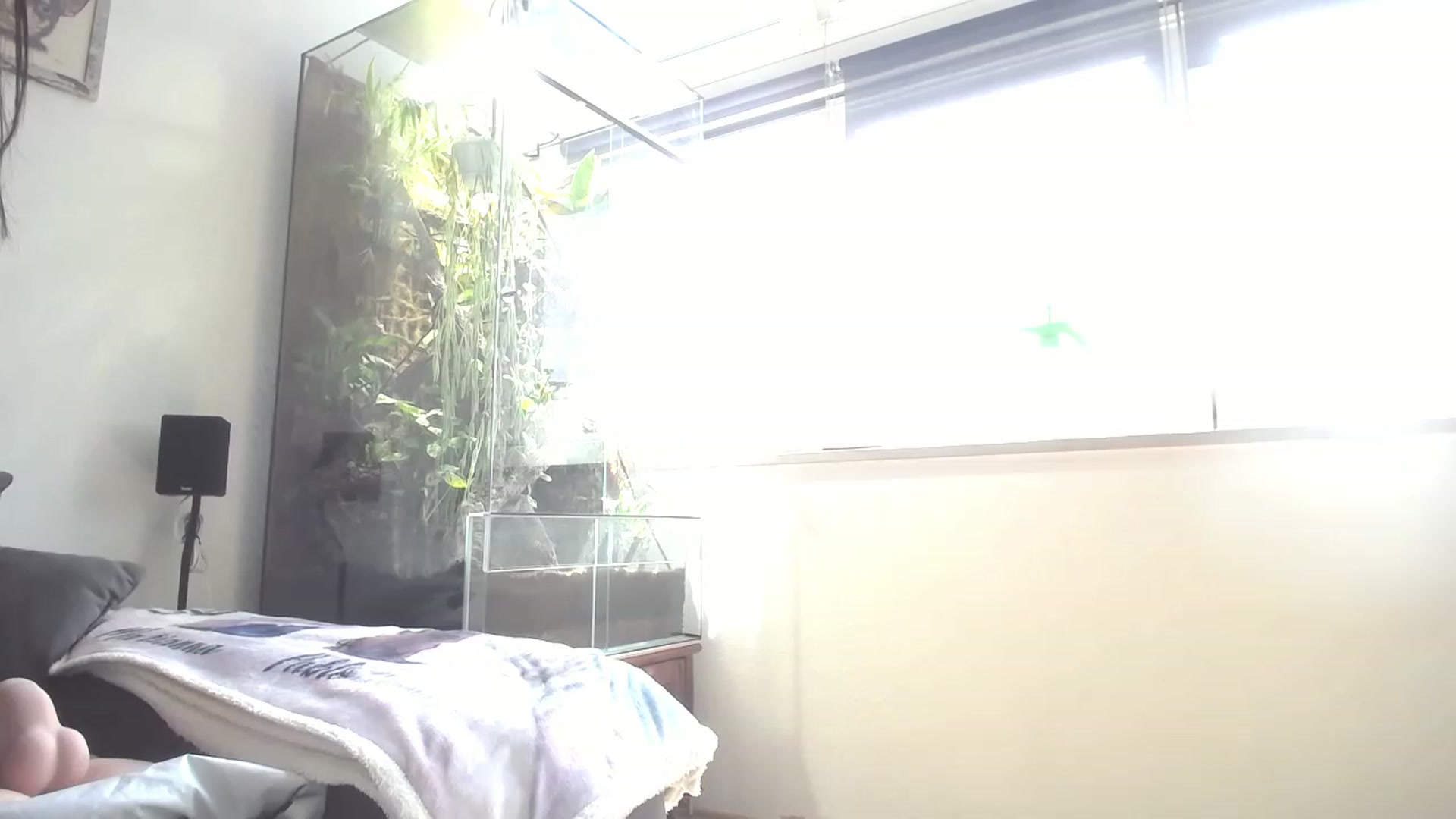 Gallery image thumbnail from MiaMaxxx's myfreecams stream on, 06/02/2023, 09:30 image 14 of 20