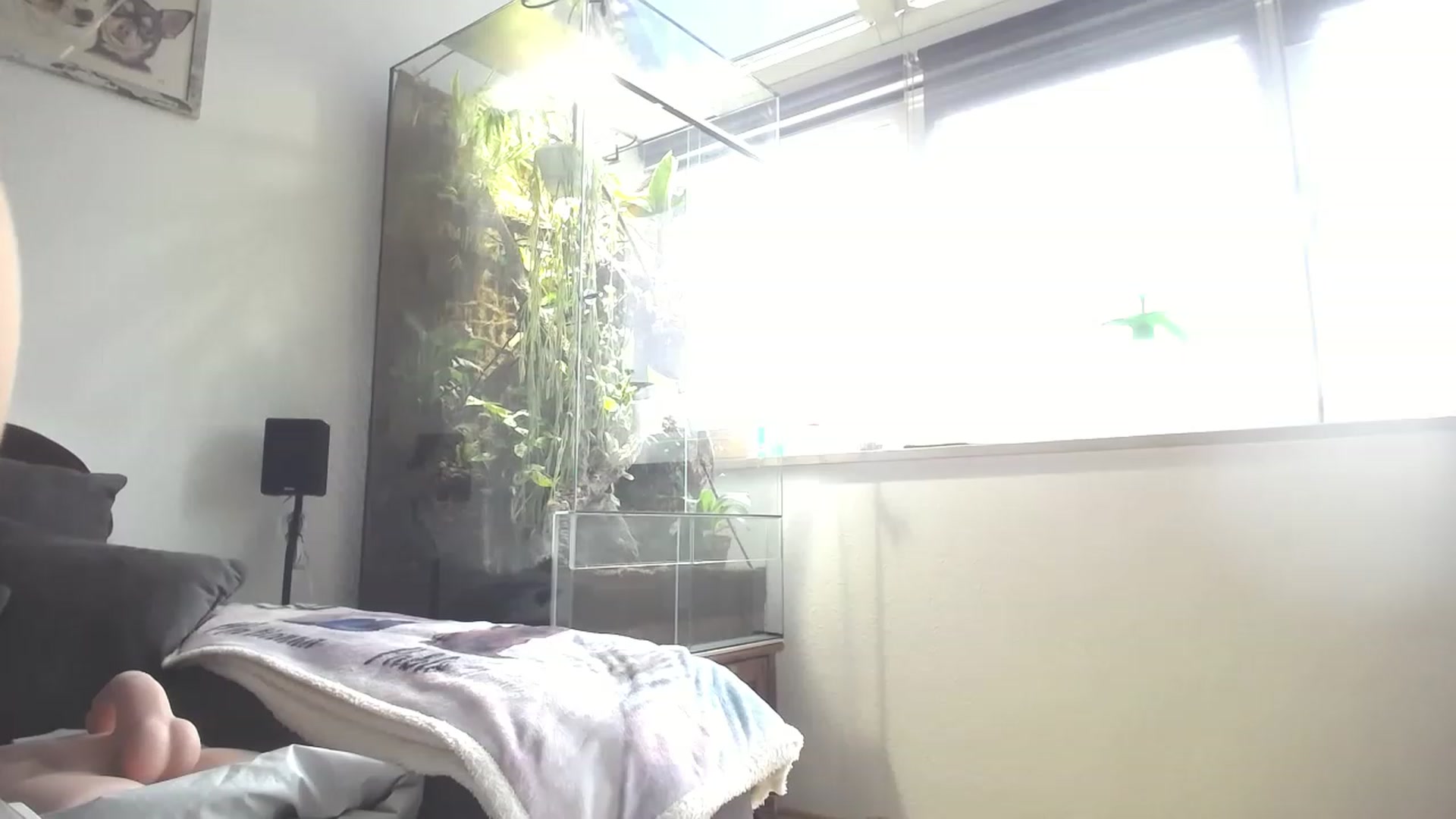 Gallery image thumbnail from MiaMaxxx's myfreecams stream on, 06/02/2023, 09:30 image 16 of 20