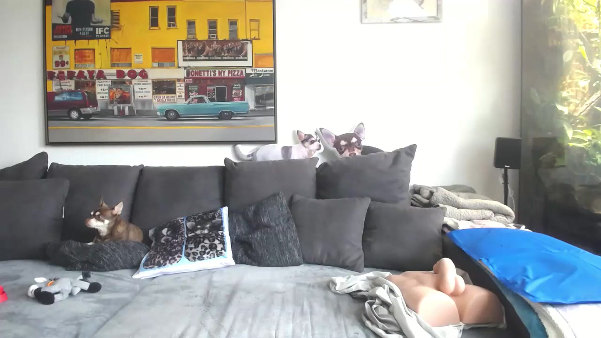 Gallery image thumbnail from MiaMaxxx's myfreecams stream on, 07/20/2023, 10:50 image 14 of 20