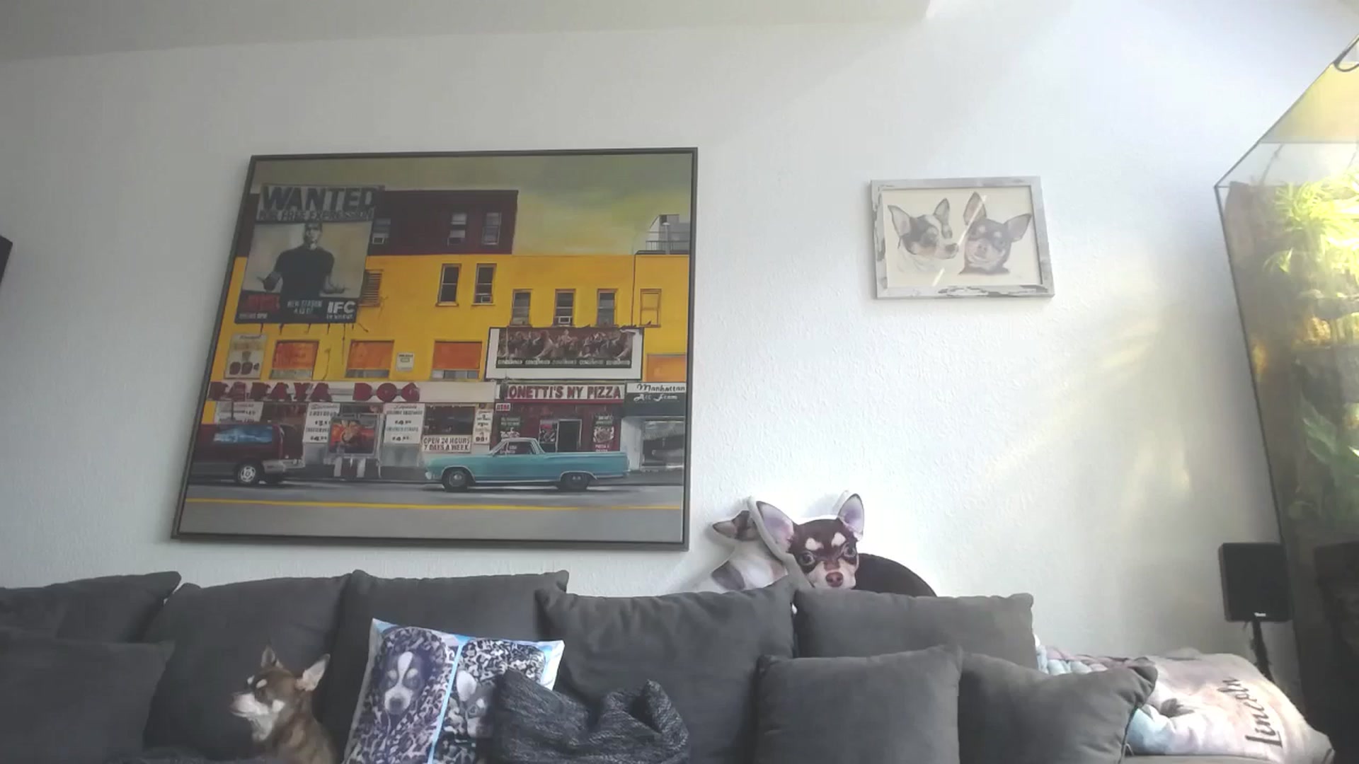 Gallery image thumbnail from MiaMaxxx's myfreecams stream on, 08/31/2023, 11:16 image 10 of 20