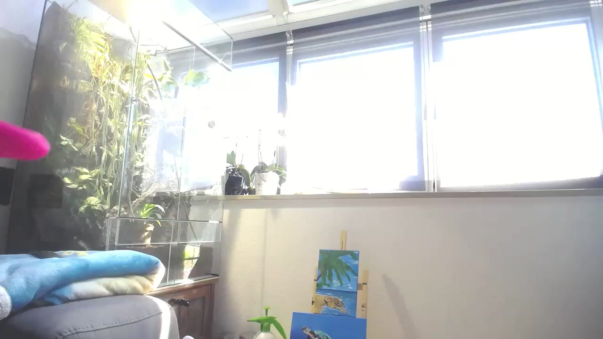 Gallery image thumbnail from MiaMaxxx's myfreecams stream on, 09/04/2023, 12:10 image 6 of 20
