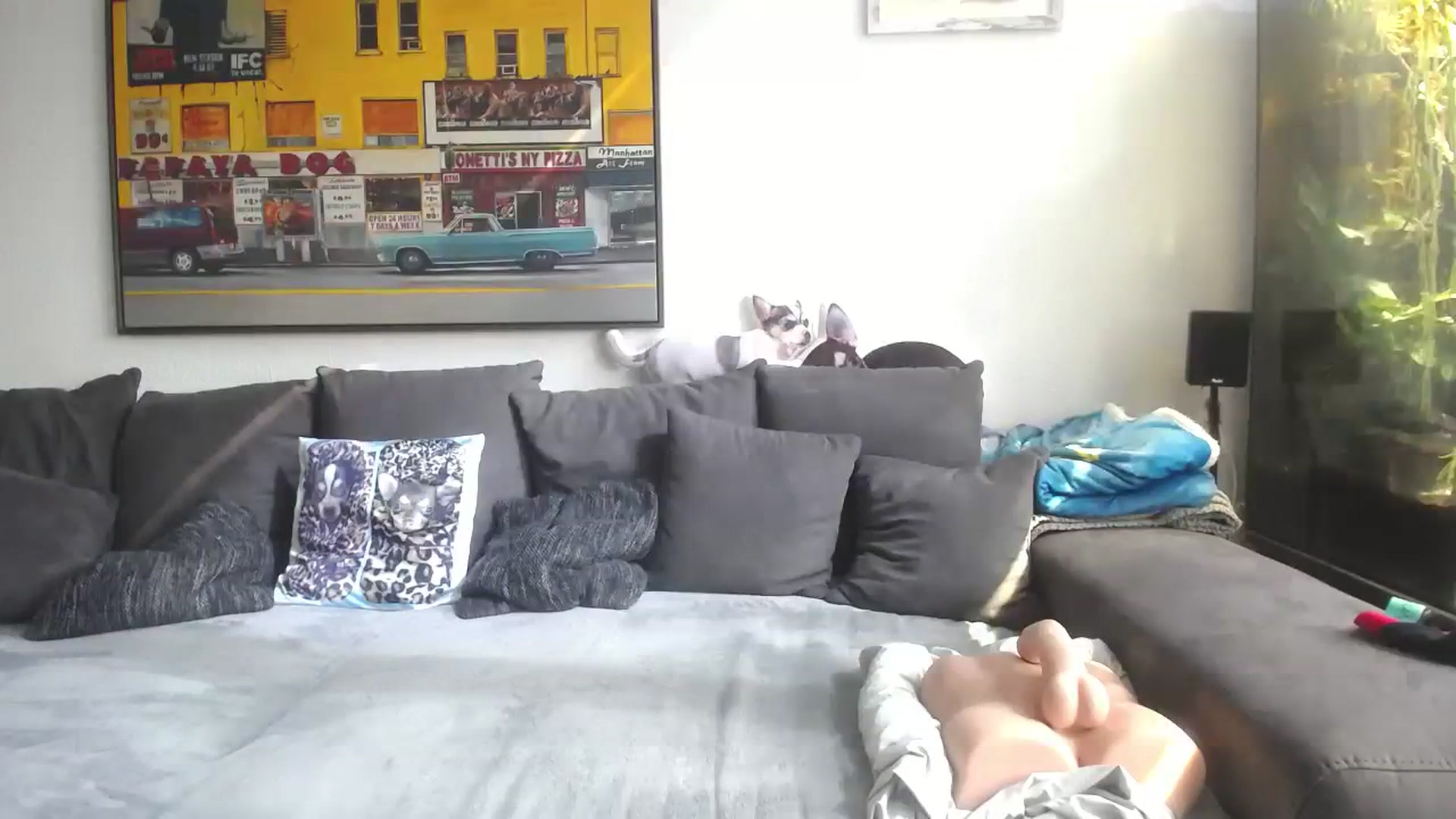 Gallery image thumbnail from MiaMaxxx's myfreecams stream on, 09/15/2023, 11:22 image 13 of 20