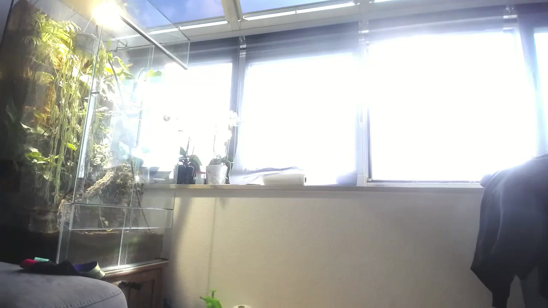 Gallery image thumbnail from MiaMaxxx's myfreecams stream on, 09/15/2023, 11:22 image 15 of 20