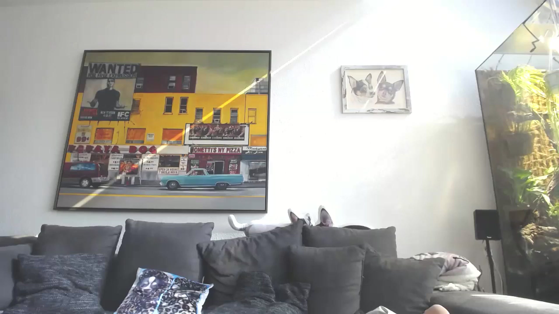 Gallery image thumbnail from MiaMaxxx's myfreecams stream on, 09/25/2023, 11:00 image 6 of 20