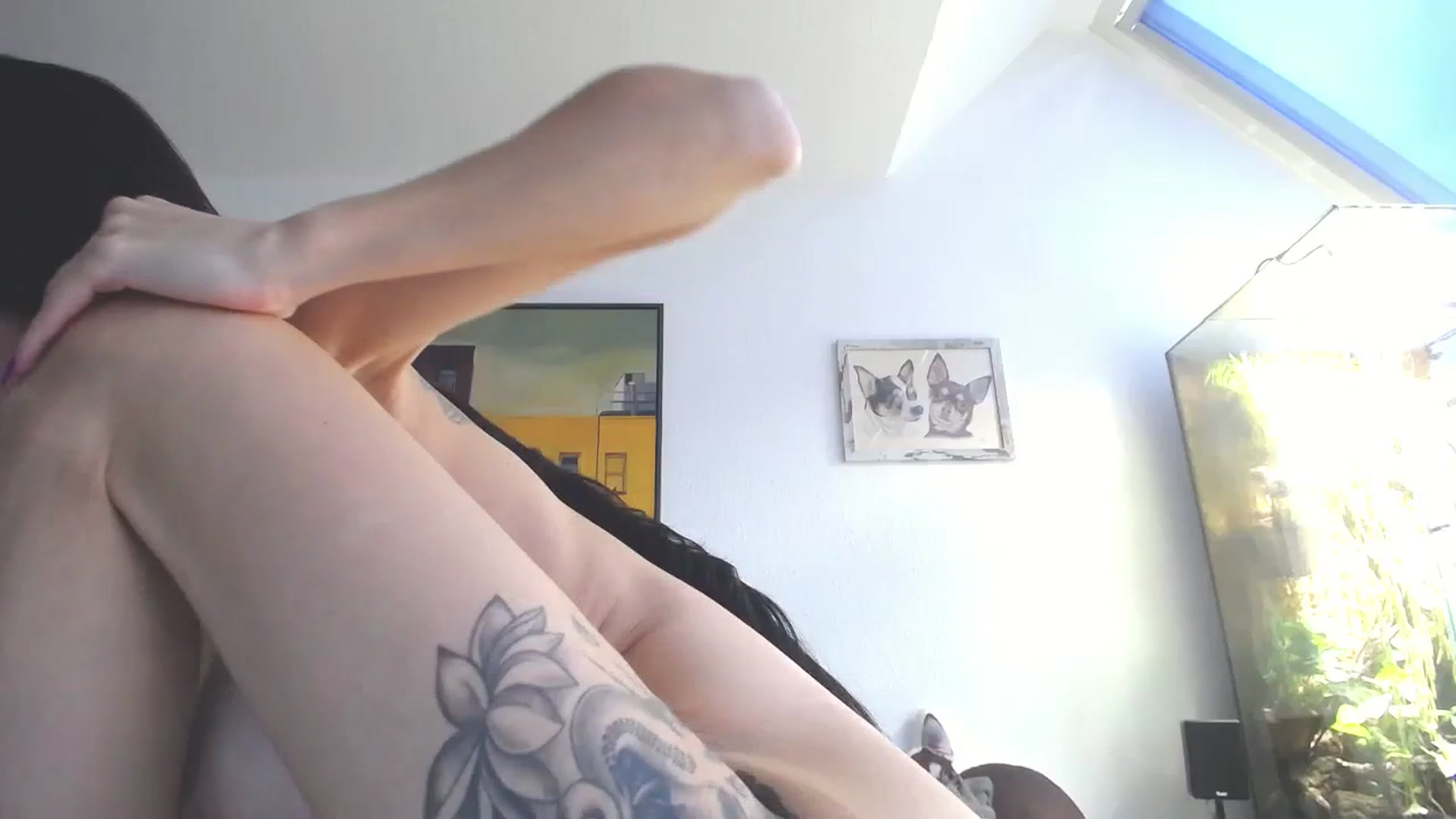 Gallery image thumbnail from MiaMaxxx's myfreecams stream on, 10/09/2023, 11:00 image 9 of 20