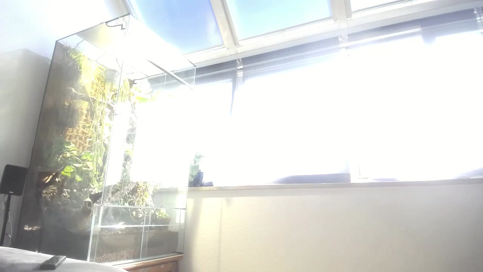 Gallery image thumbnail from MiaMaxxx's myfreecams stream on, 10/11/2023, 12:20 image 4 of 20