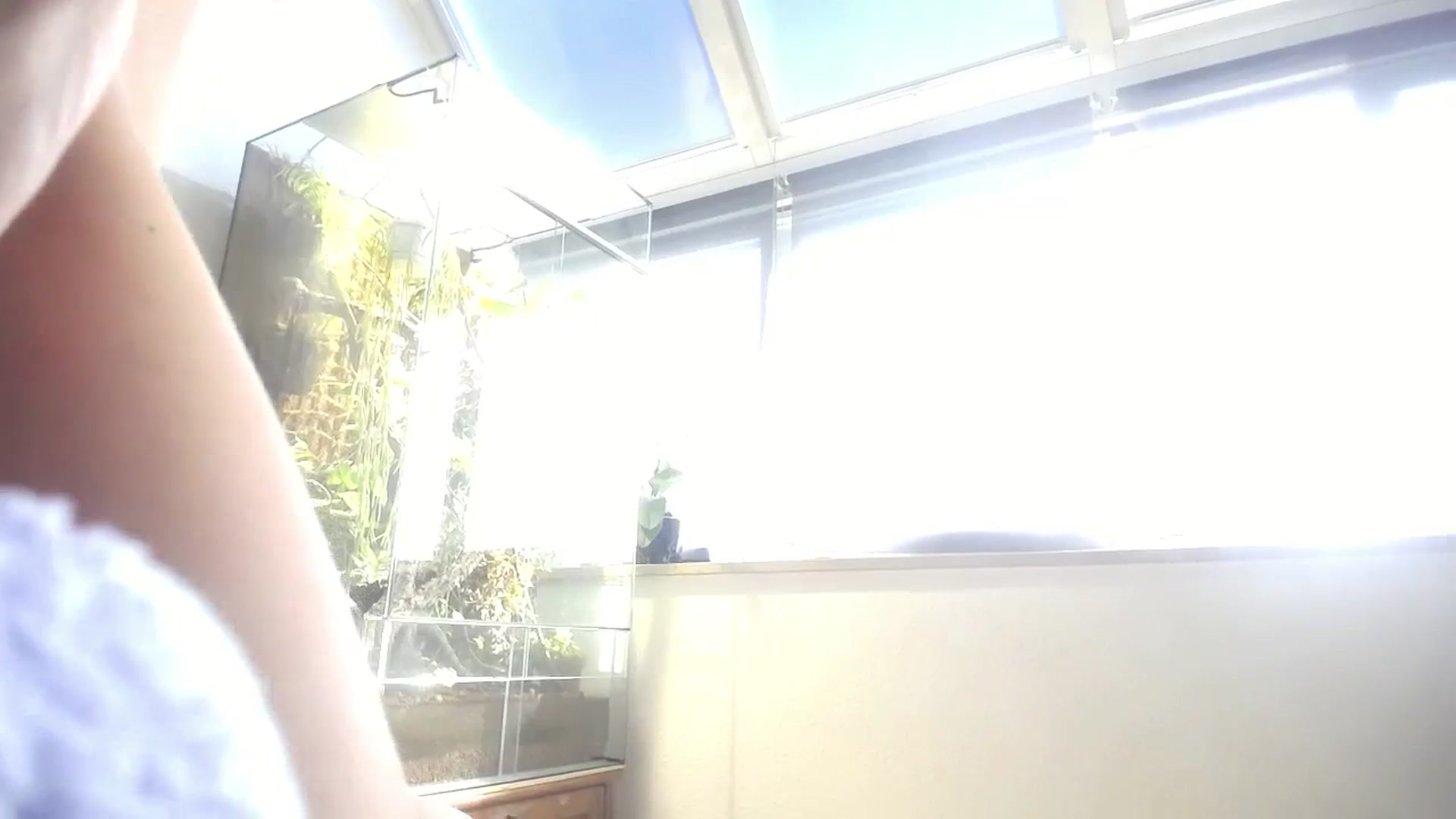 Gallery image thumbnail from MiaMaxxx's myfreecams stream on, 10/11/2023, 12:20 image 5 of 20