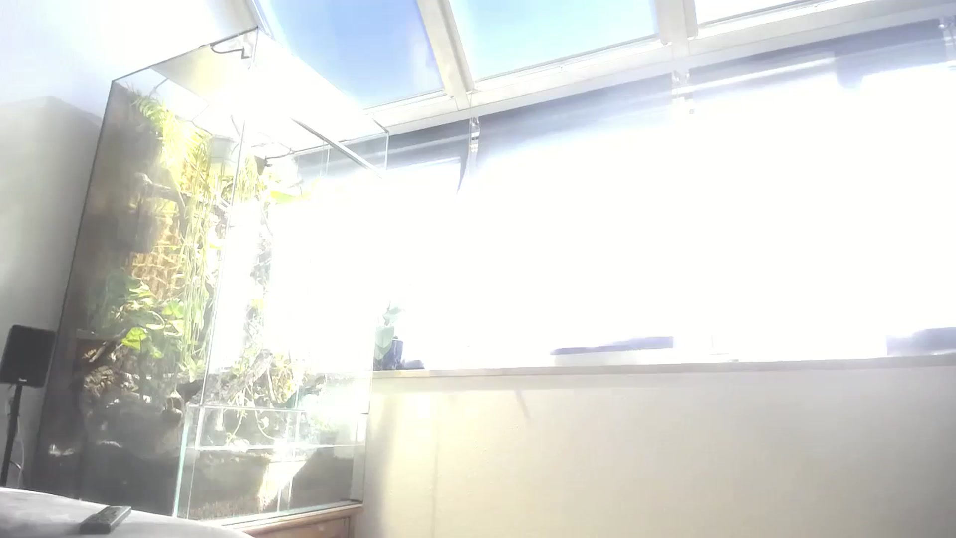 Gallery image thumbnail from MiaMaxxx's myfreecams stream on, 10/11/2023, 12:20 image 3 of 20
