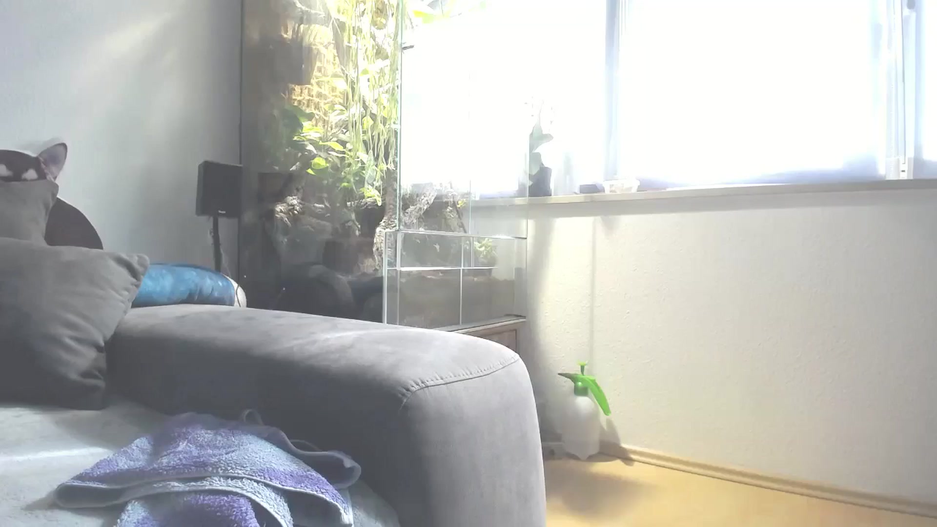 Gallery image thumbnail from MiaMaxxx's myfreecams stream on, 10/14/2023, 11:10 image 9 of 20