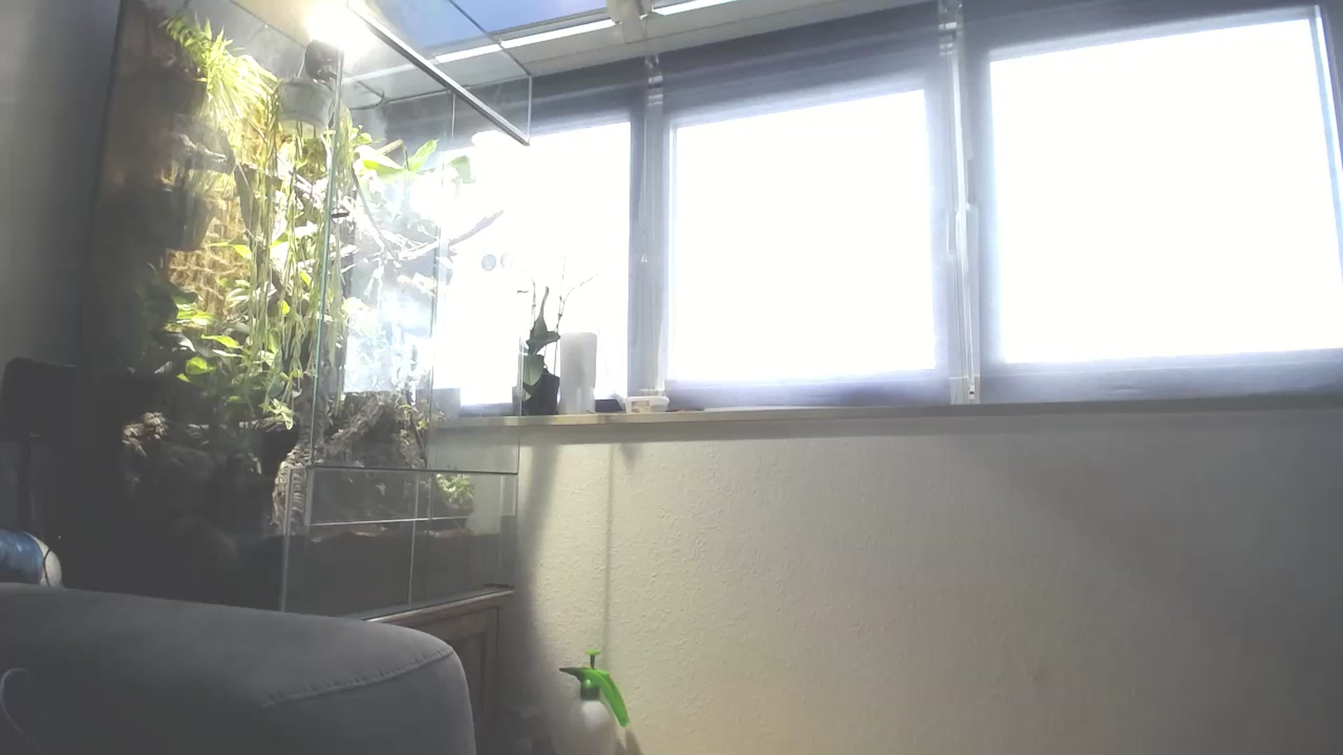 Gallery image thumbnail from MiaMaxxx's myfreecams stream on, 10/14/2023, 11:10 image 4 of 20