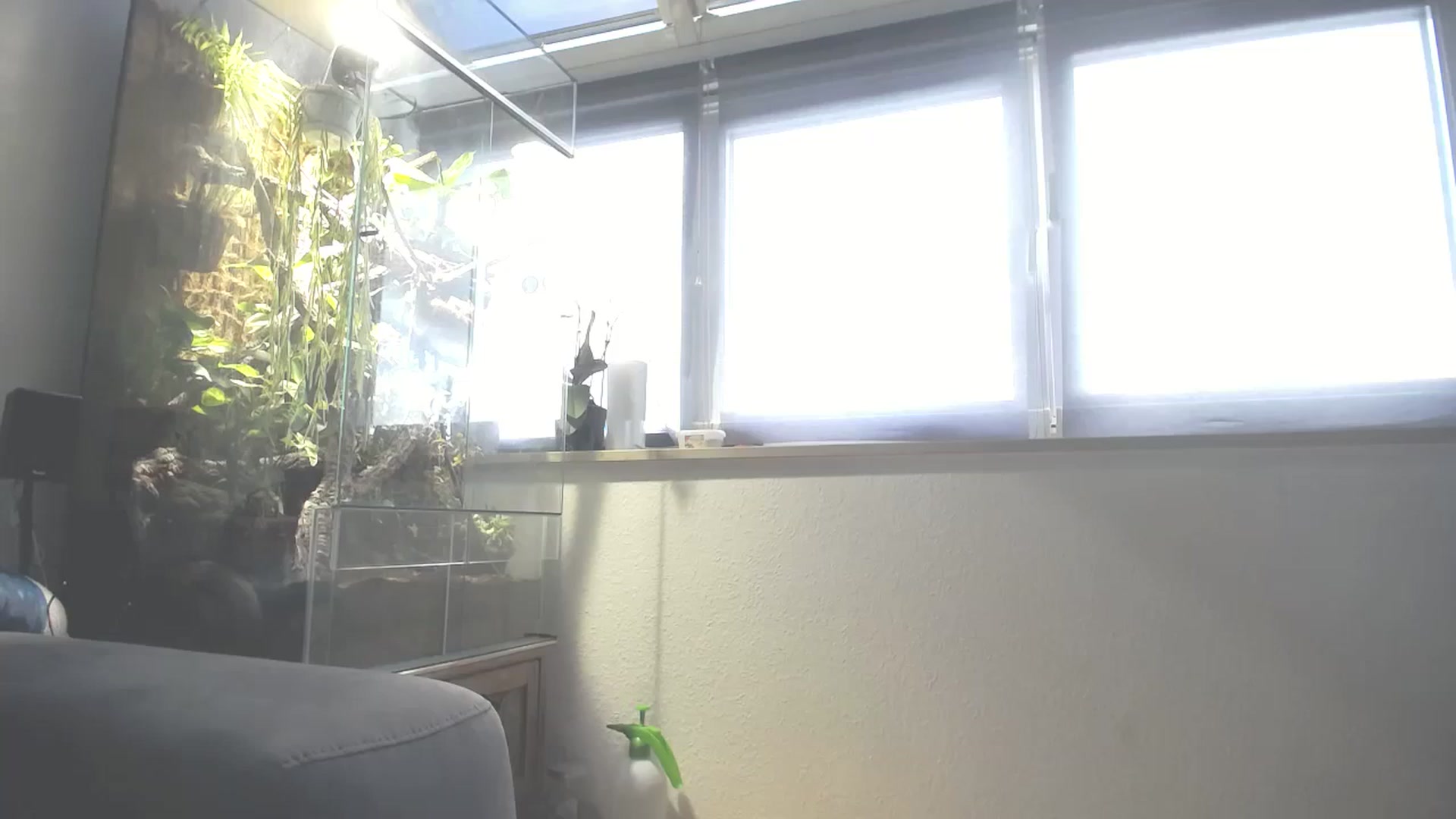 Gallery image thumbnail from MiaMaxxx's myfreecams stream on, 10/14/2023, 11:10 image 5 of 20