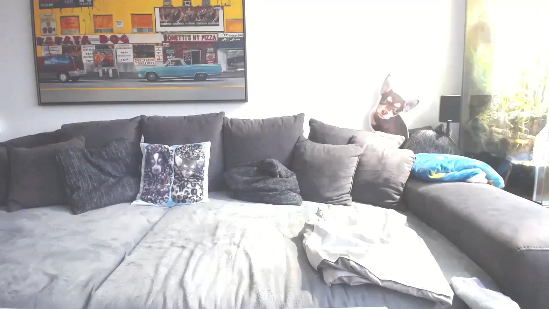 Gallery image thumbnail from MiaMaxxx's myfreecams stream on, 11/18/2023, 15:01 image 4 of 20