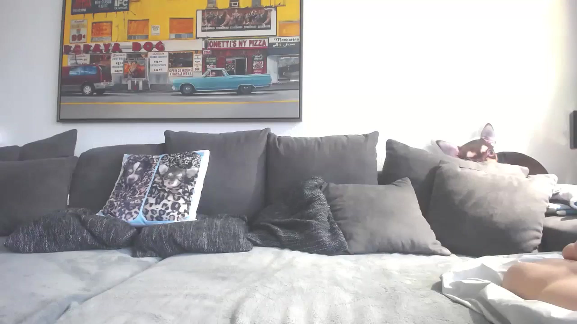Gallery image thumbnail from MiaMaxxx's myfreecams stream on, 11/30/2023, 10:33 image 5 of 20