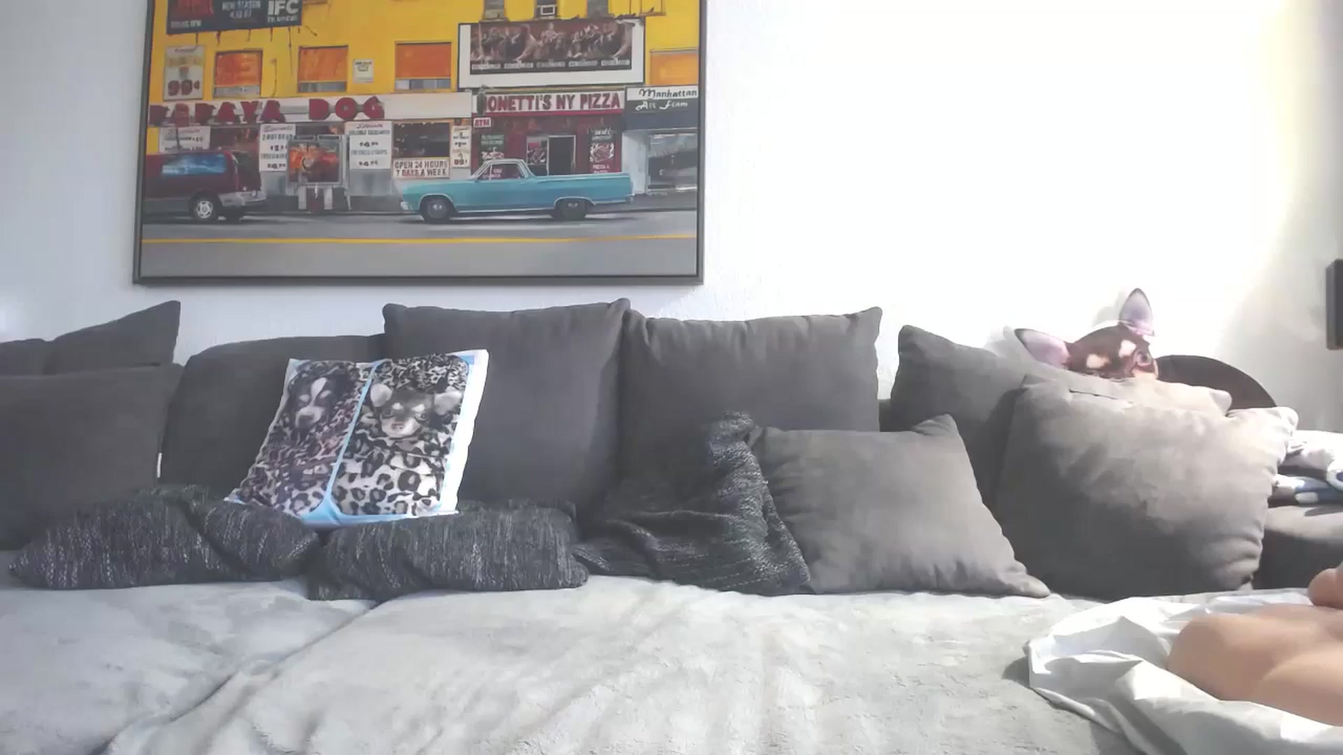 Gallery image thumbnail from MiaMaxxx's myfreecams stream on, 11/30/2023, 10:33 image 4 of 20
