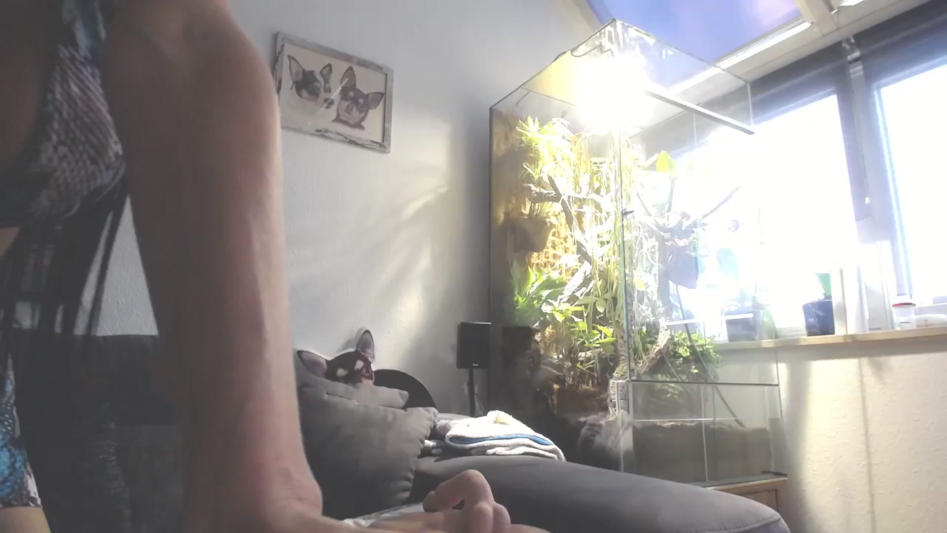 Gallery image thumbnail from MiaMaxxx's myfreecams stream on, 11/30/2023, 10:33 image 3 of 20
