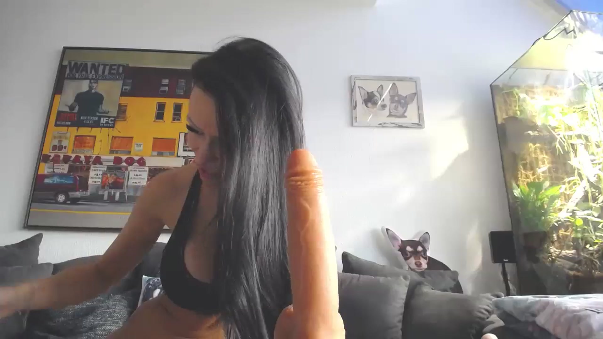 Gallery image thumbnail from MiaMaxxx's myfreecams stream on, 12/09/2023, 10:12 image 6 of 20