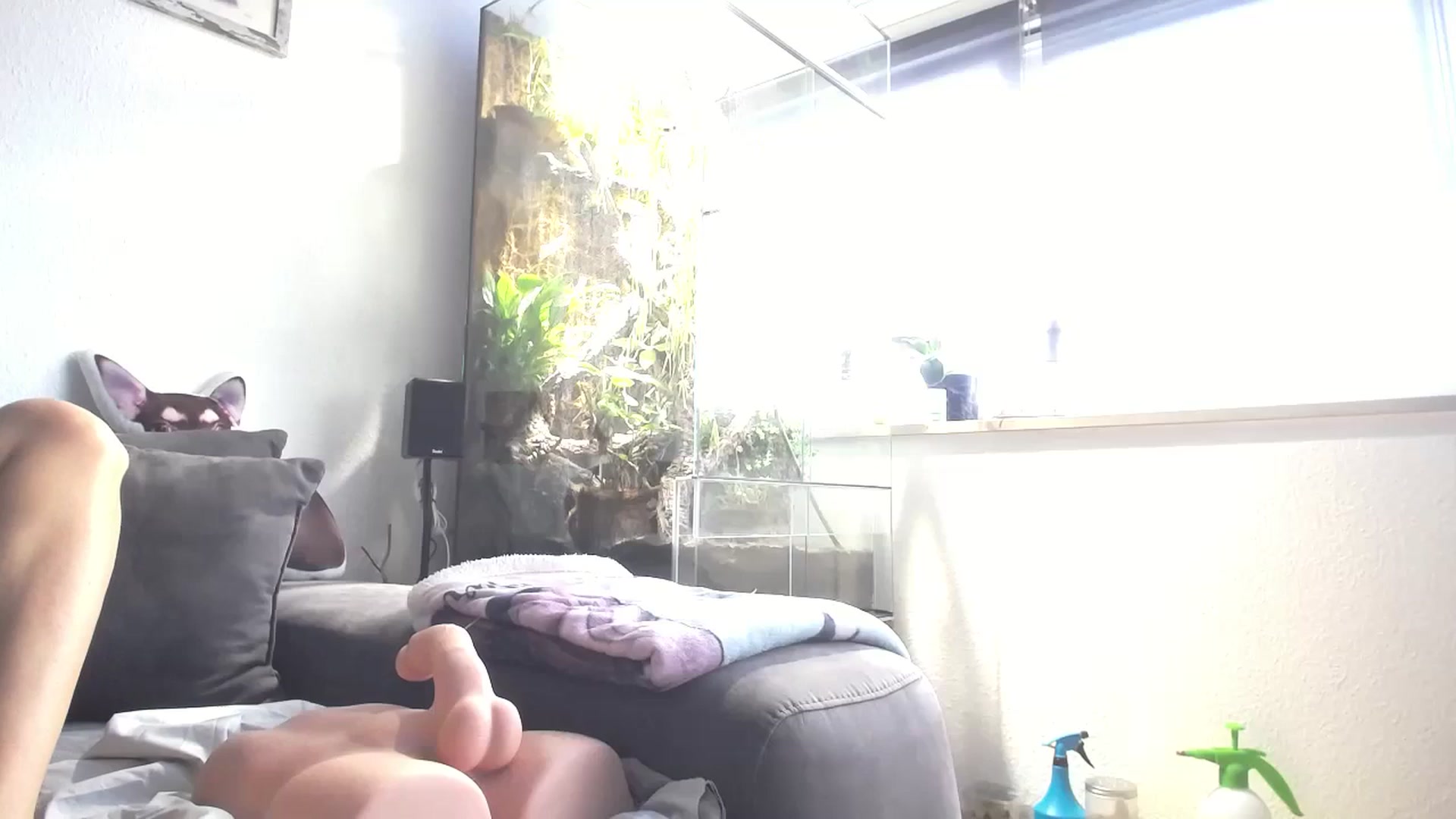 Gallery image thumbnail from MiaMaxxx's myfreecams stream on, 12/13/2023, 11:41 image 14 of 20
