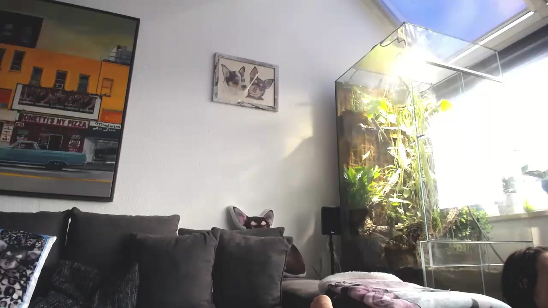 Gallery image thumbnail from MiaMaxxx's myfreecams stream on, 12/13/2023, 11:41 image 17 of 20