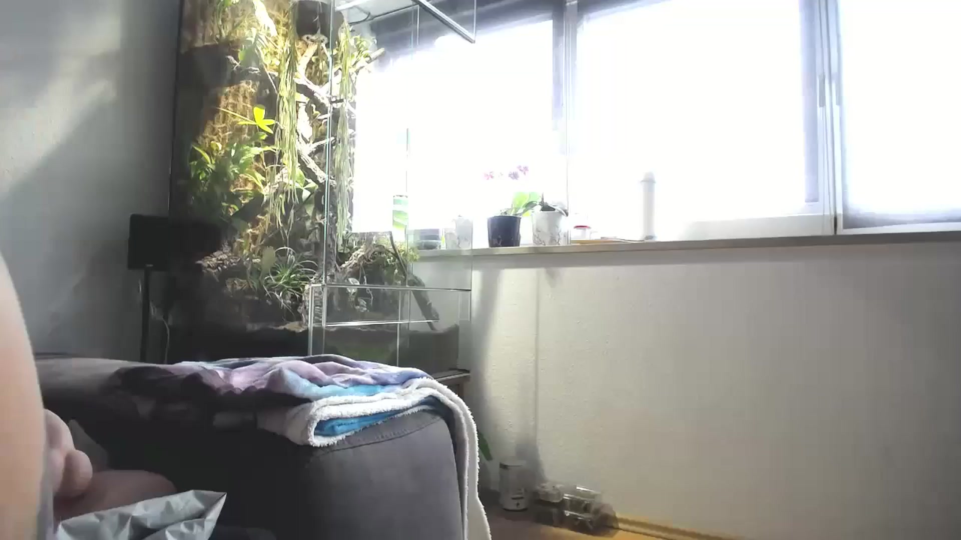 Gallery image thumbnail from MiaMaxxx's myfreecams stream on, 02/25/2024, 11:55 image 9 of 20