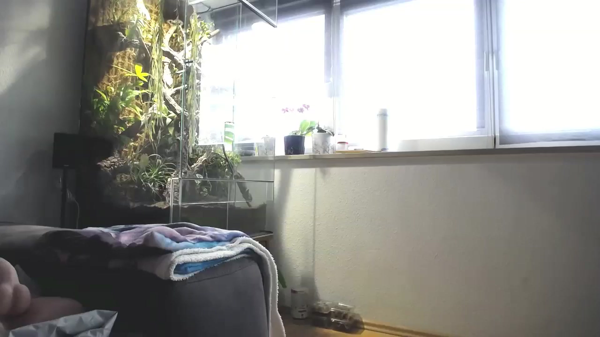 Gallery image thumbnail from MiaMaxxx's myfreecams stream on, 02/25/2024, 11:55 image 6 of 20