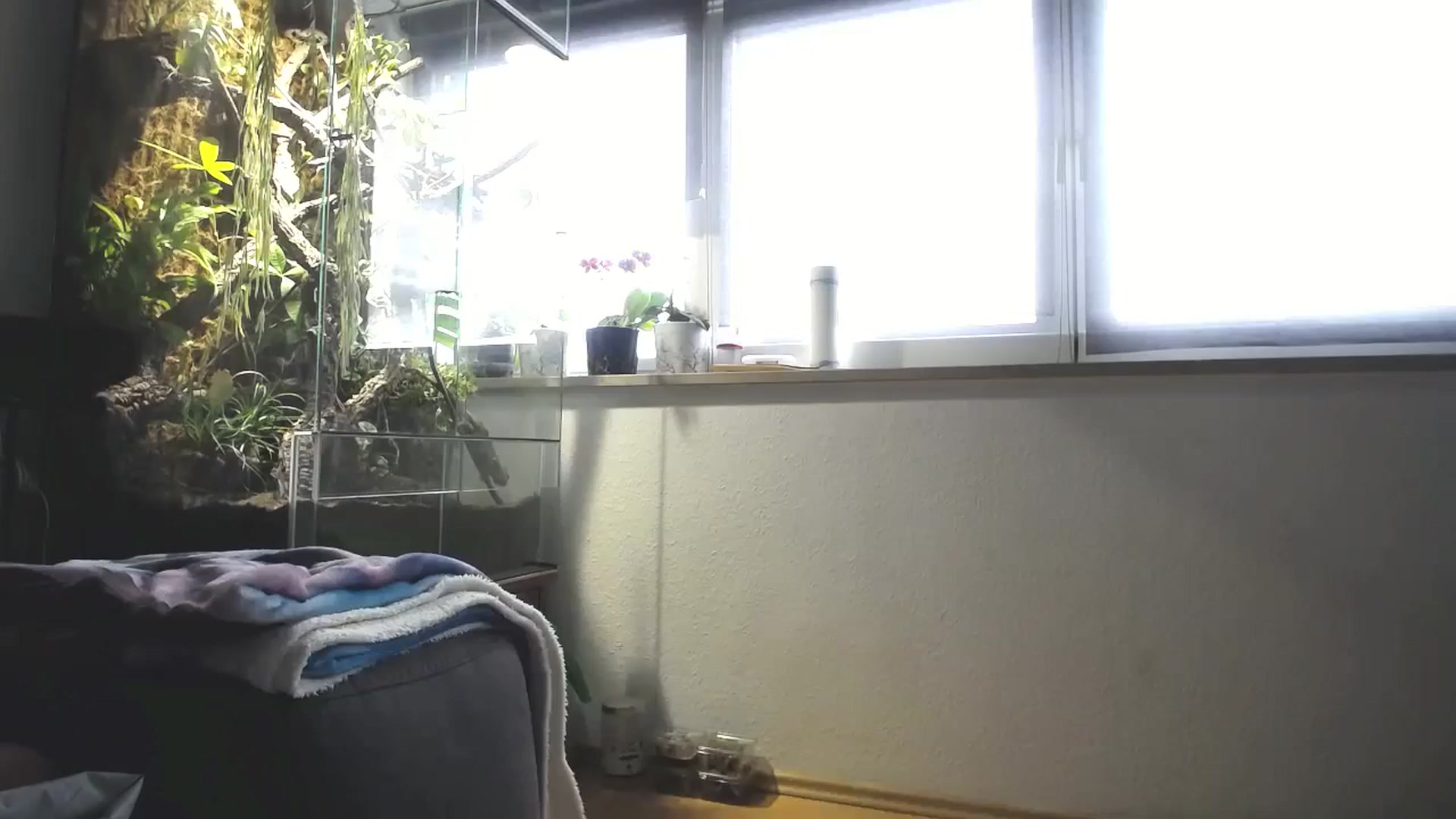 Gallery image thumbnail from MiaMaxxx's myfreecams stream on, 02/25/2024, 11:55 image 1 of 20